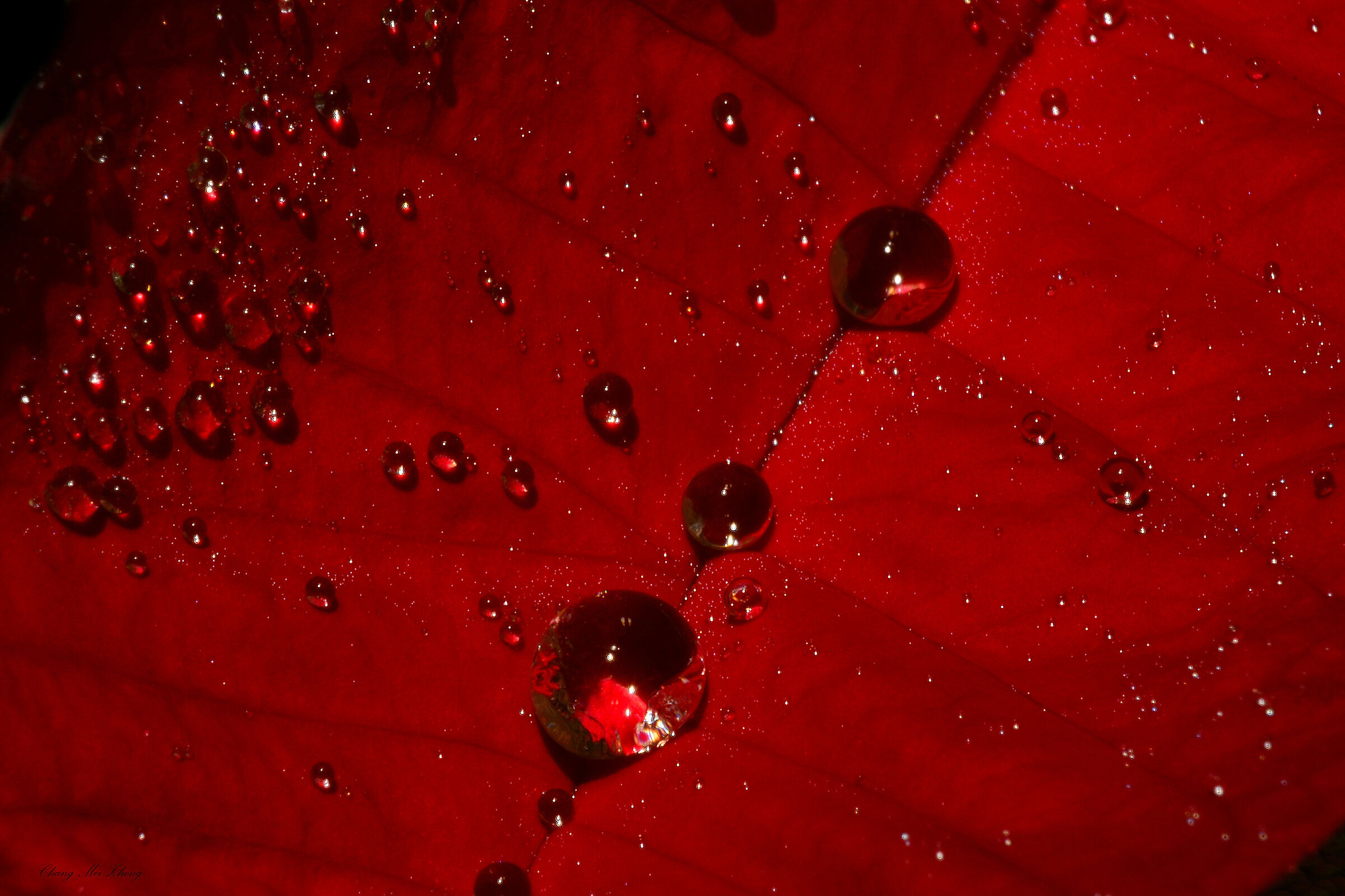 Drops