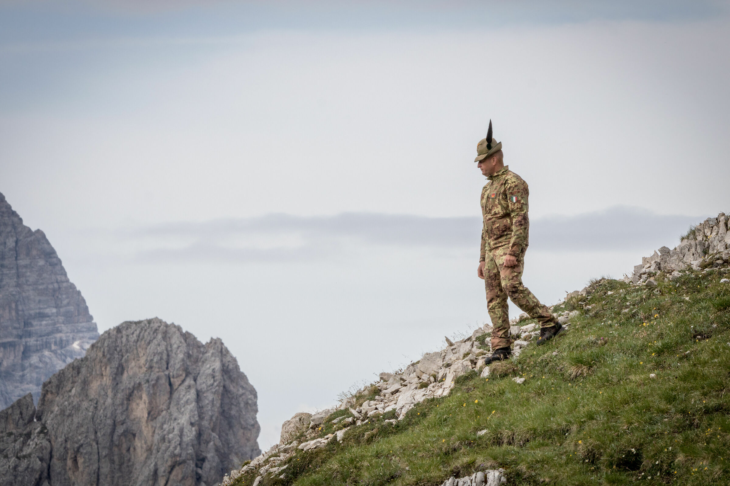 alpino nel suo ambiente naturale