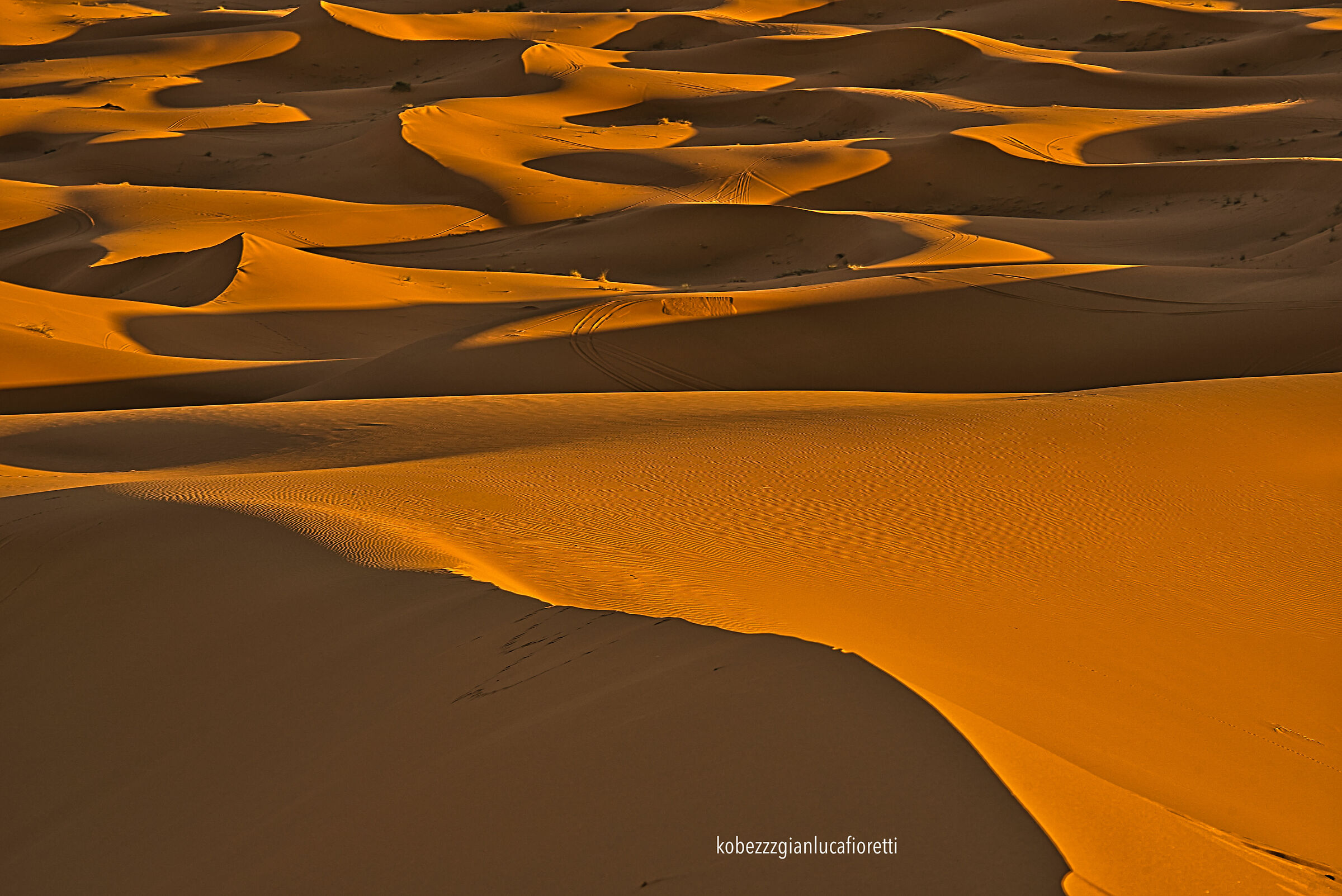 The dunes of the Sahara