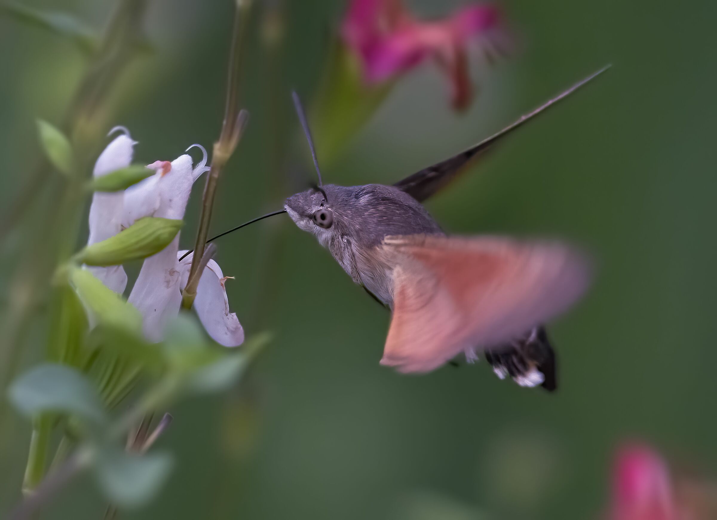 flying at 100000 ISO