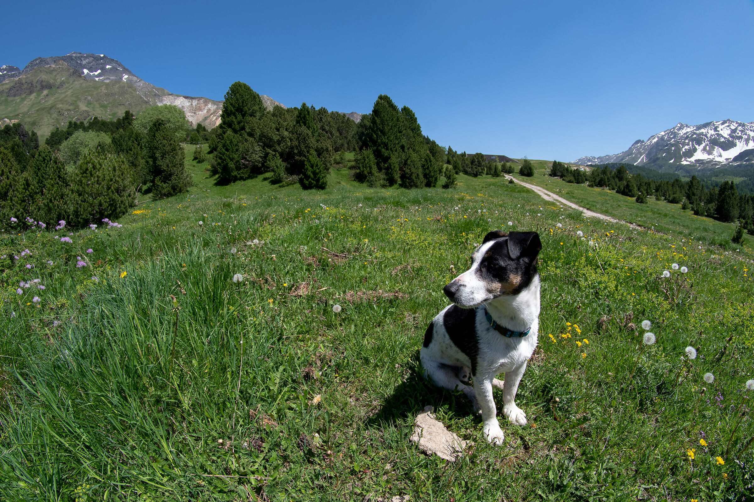 A spasso sul Lucomagno