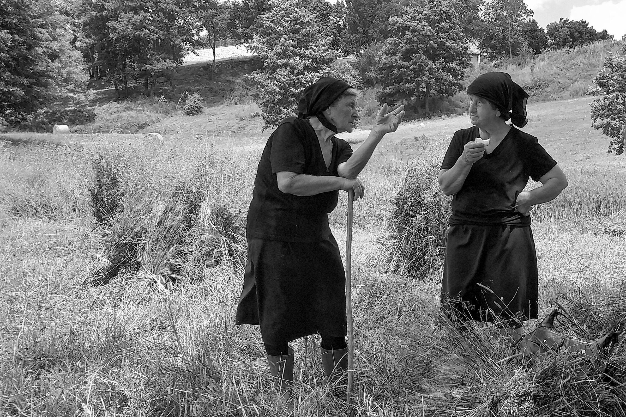 Donne di Sesto Campano