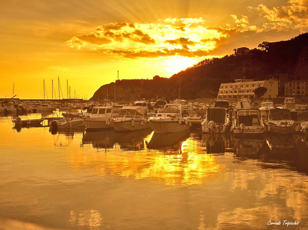 Sunset over the harbour