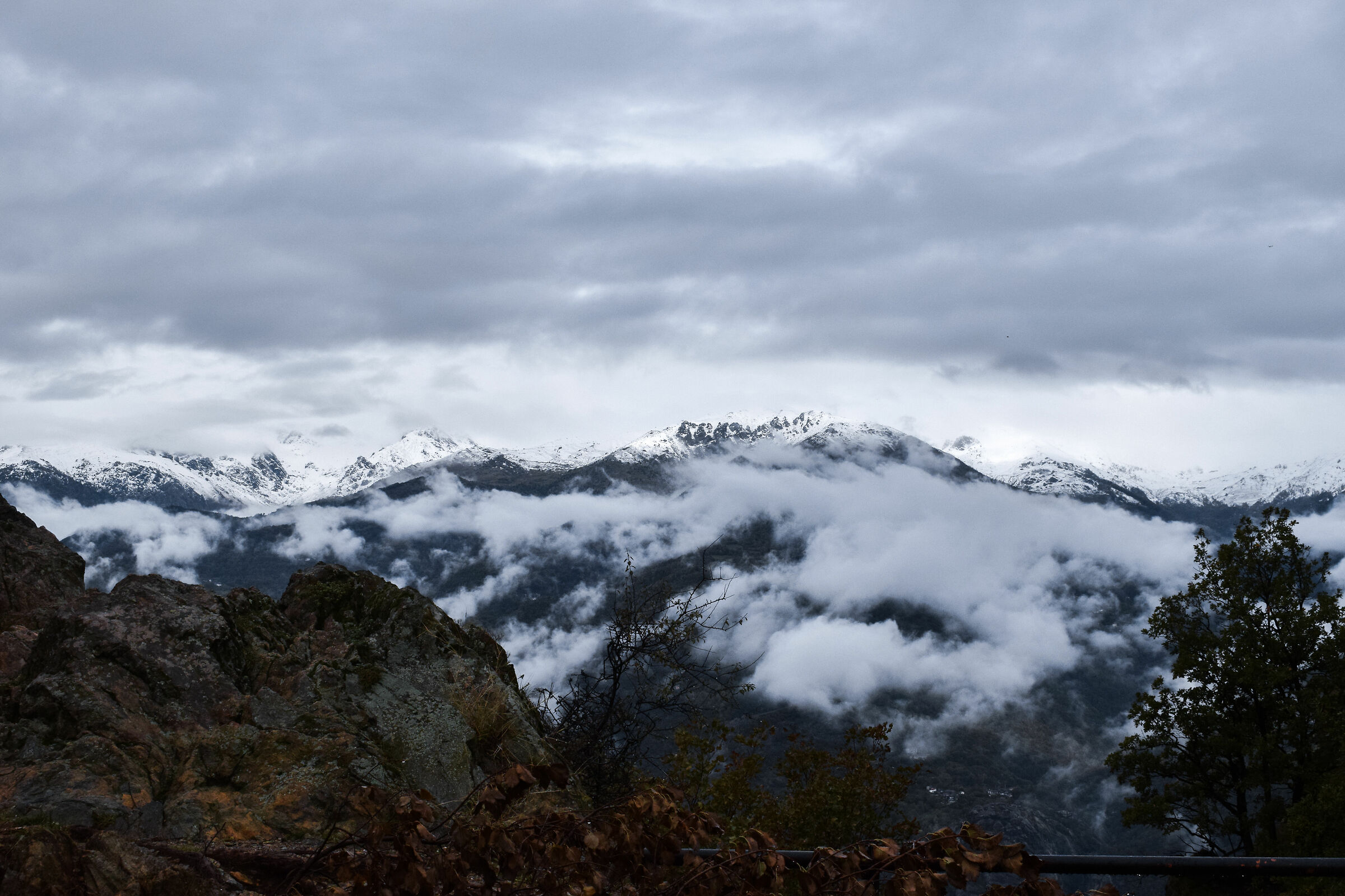 “Need a wallpaper?”