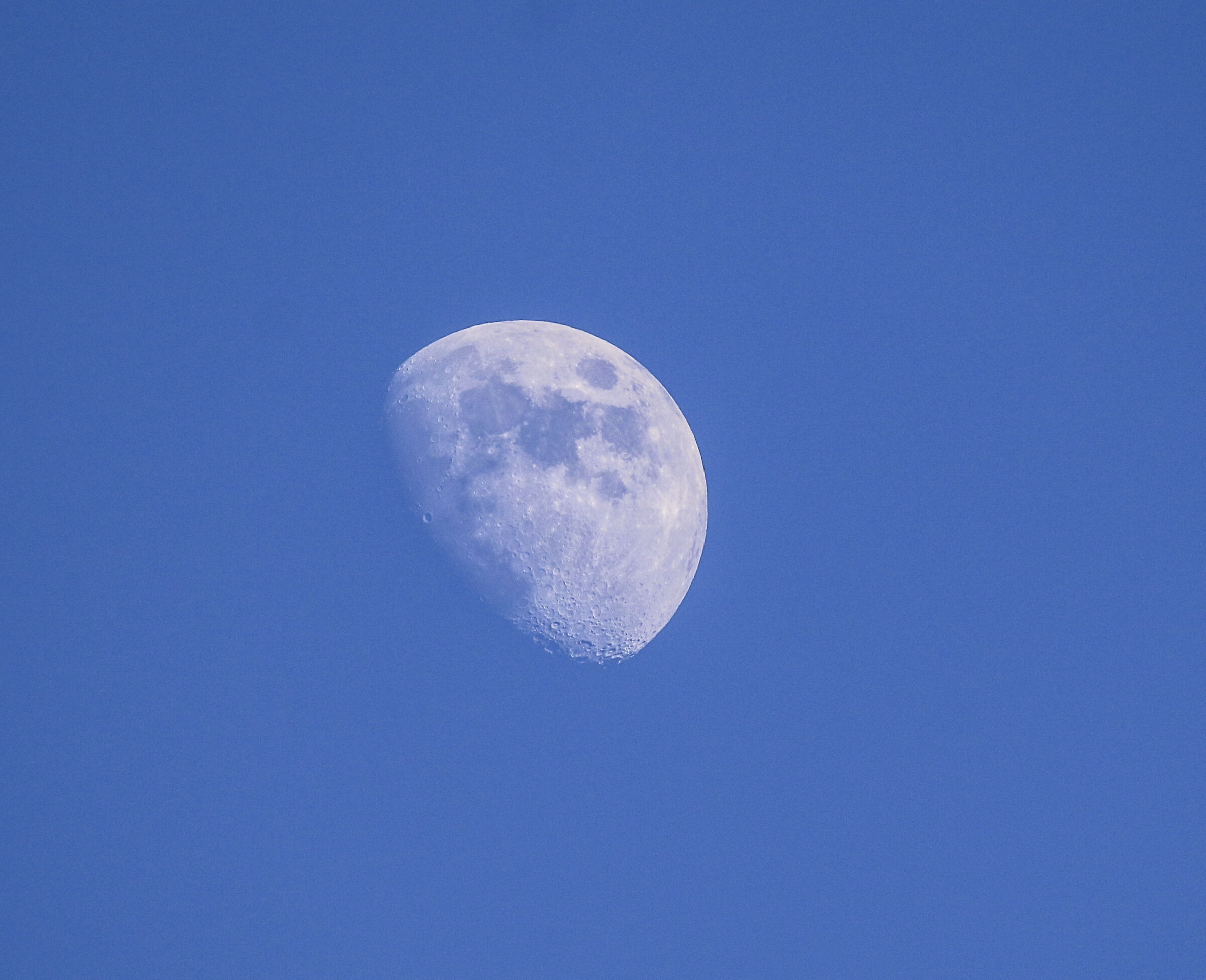 Il nostro amico ci guarda