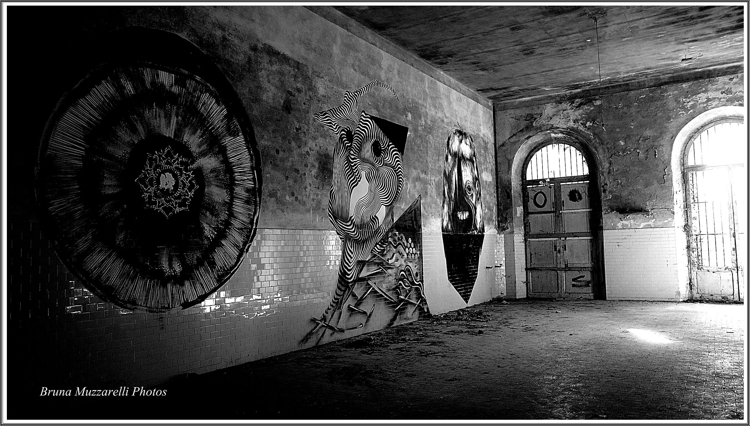 manicomio di Volterra- I luoghi dell'abbandono