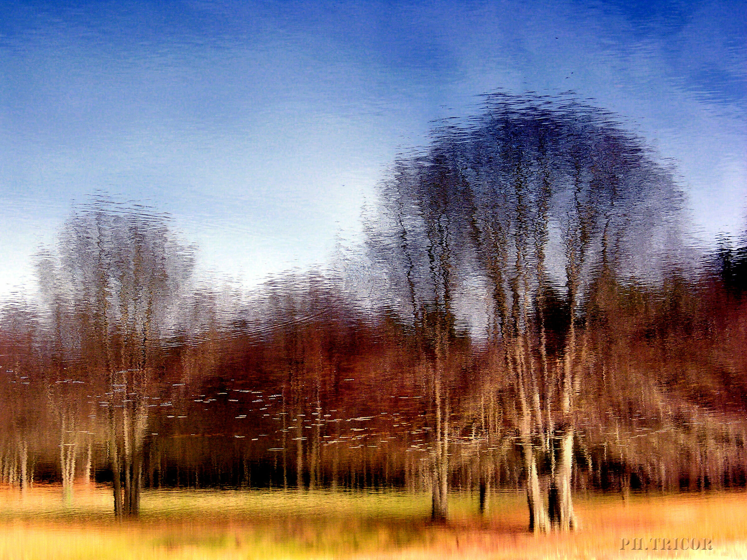 In the truly upside-down world, the truth is a moment of