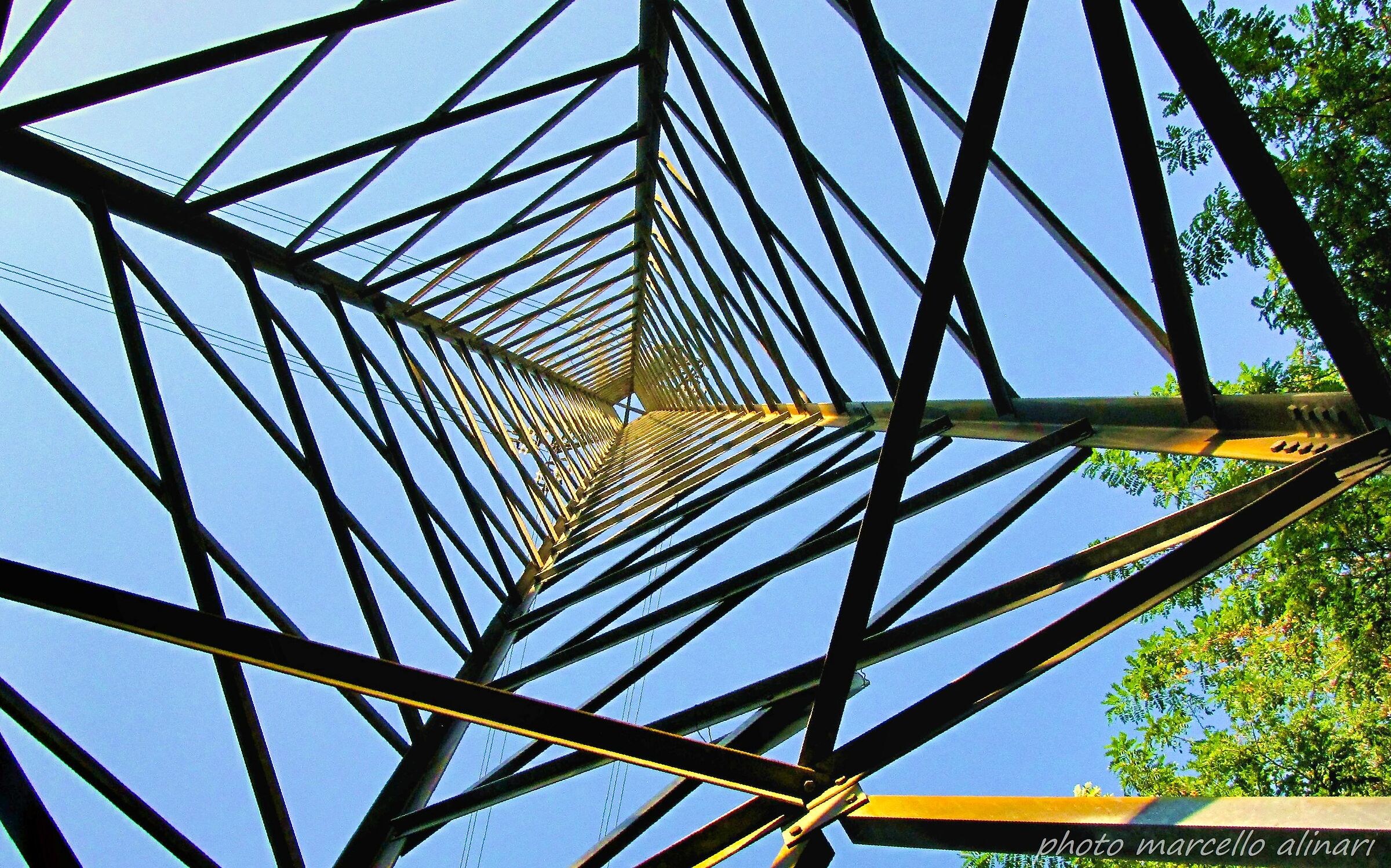 cercasi ragno di ferro