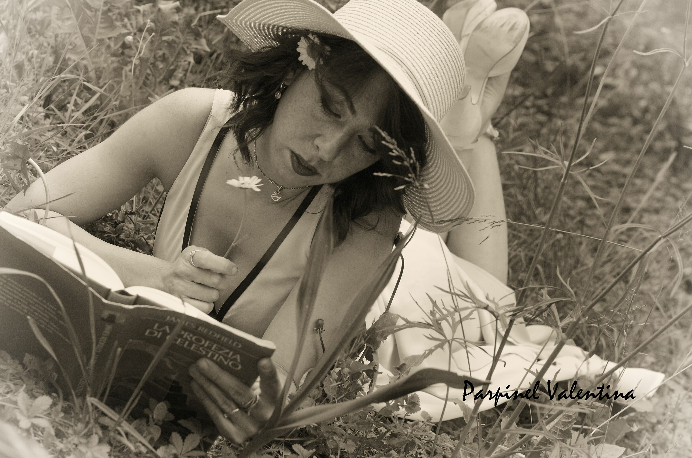 la profezia di celestino