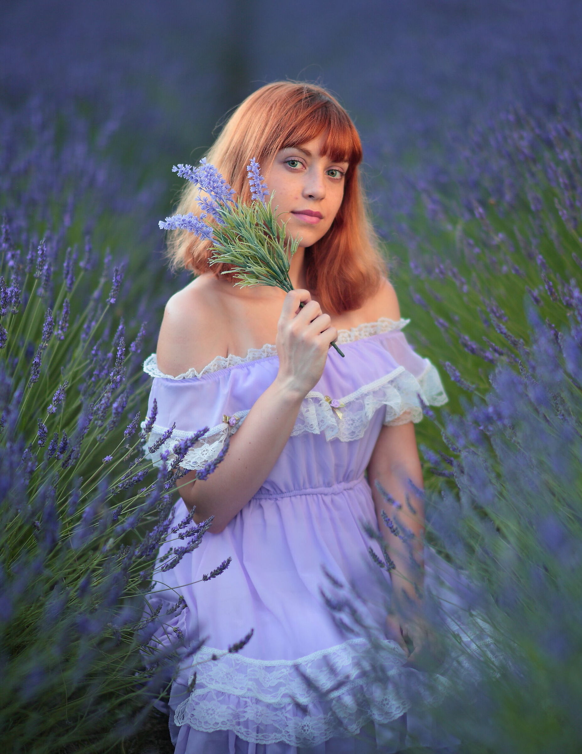 in the lavender field