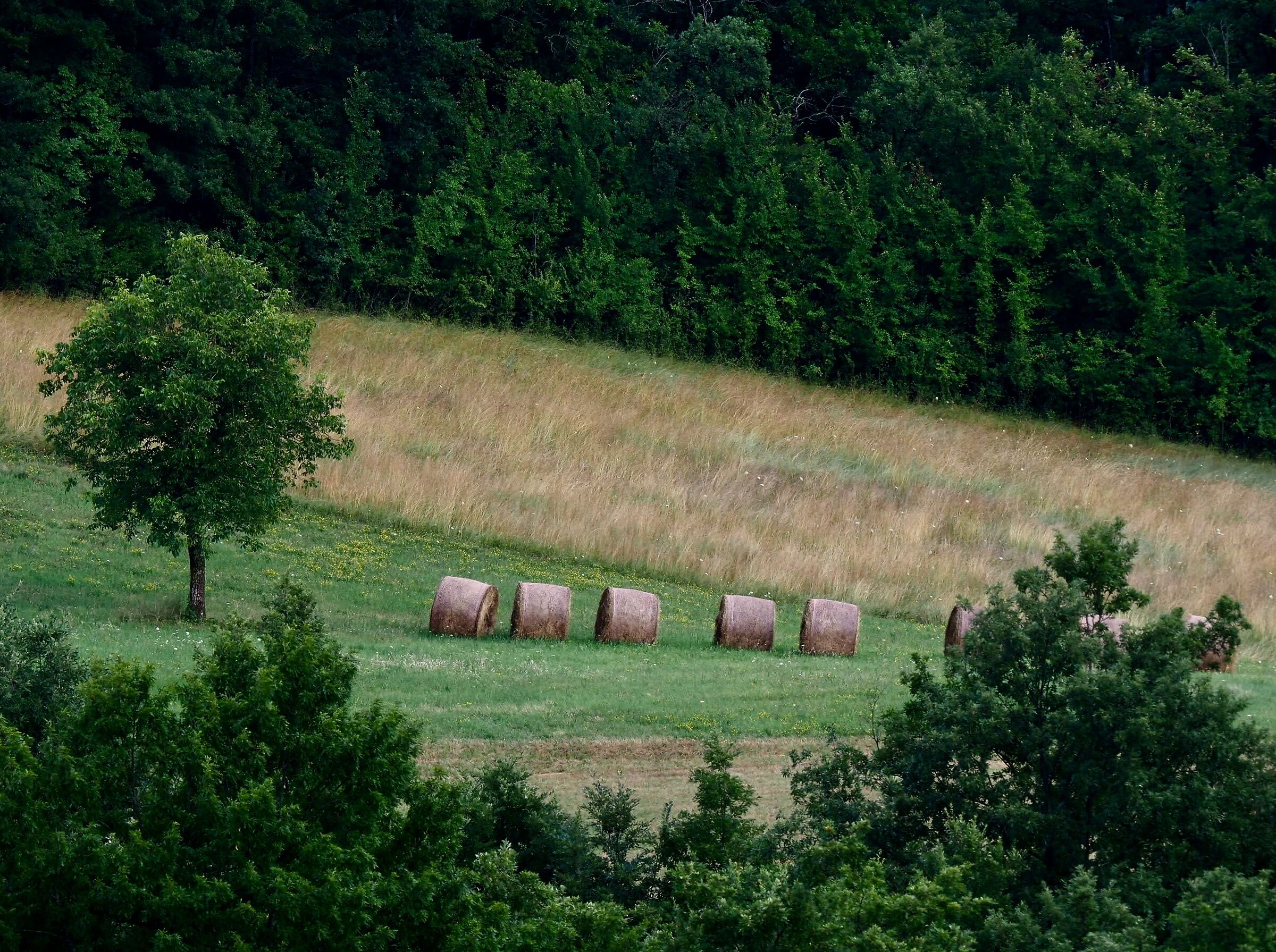 Il guardiano delle rotoballe