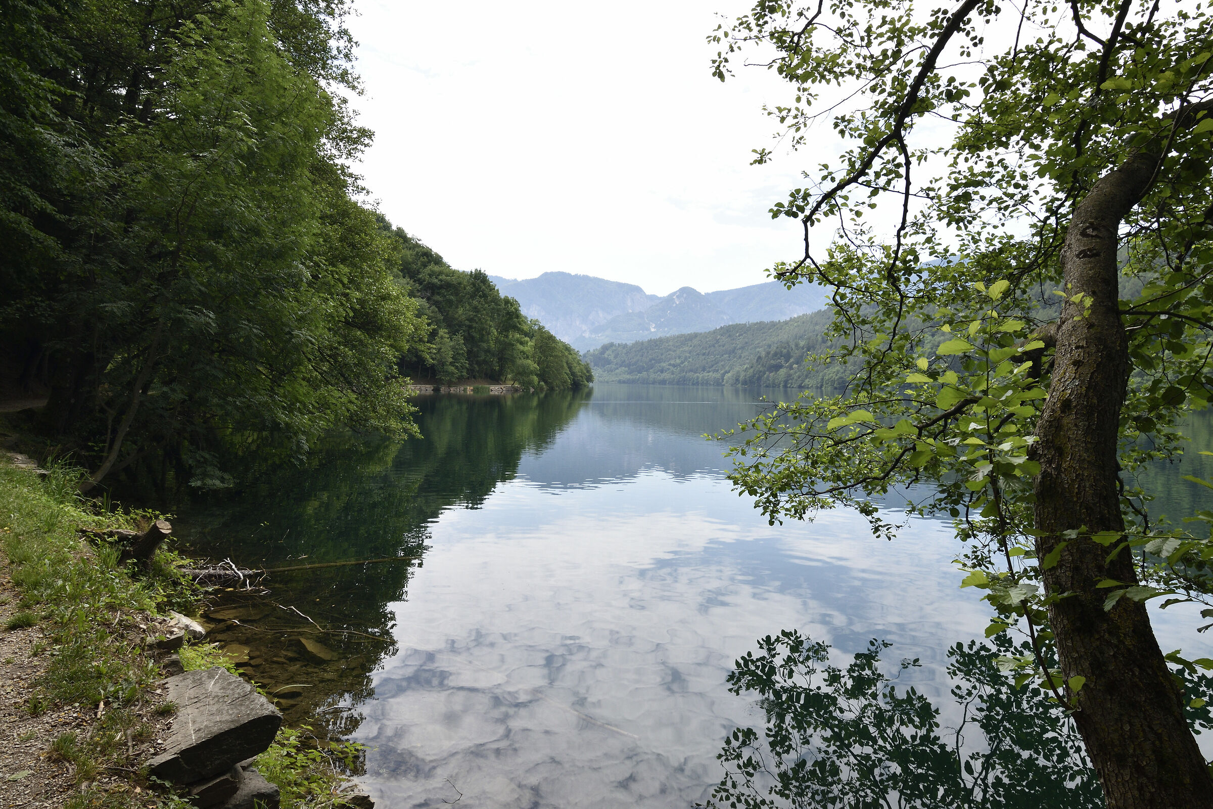 Angolo di Lago