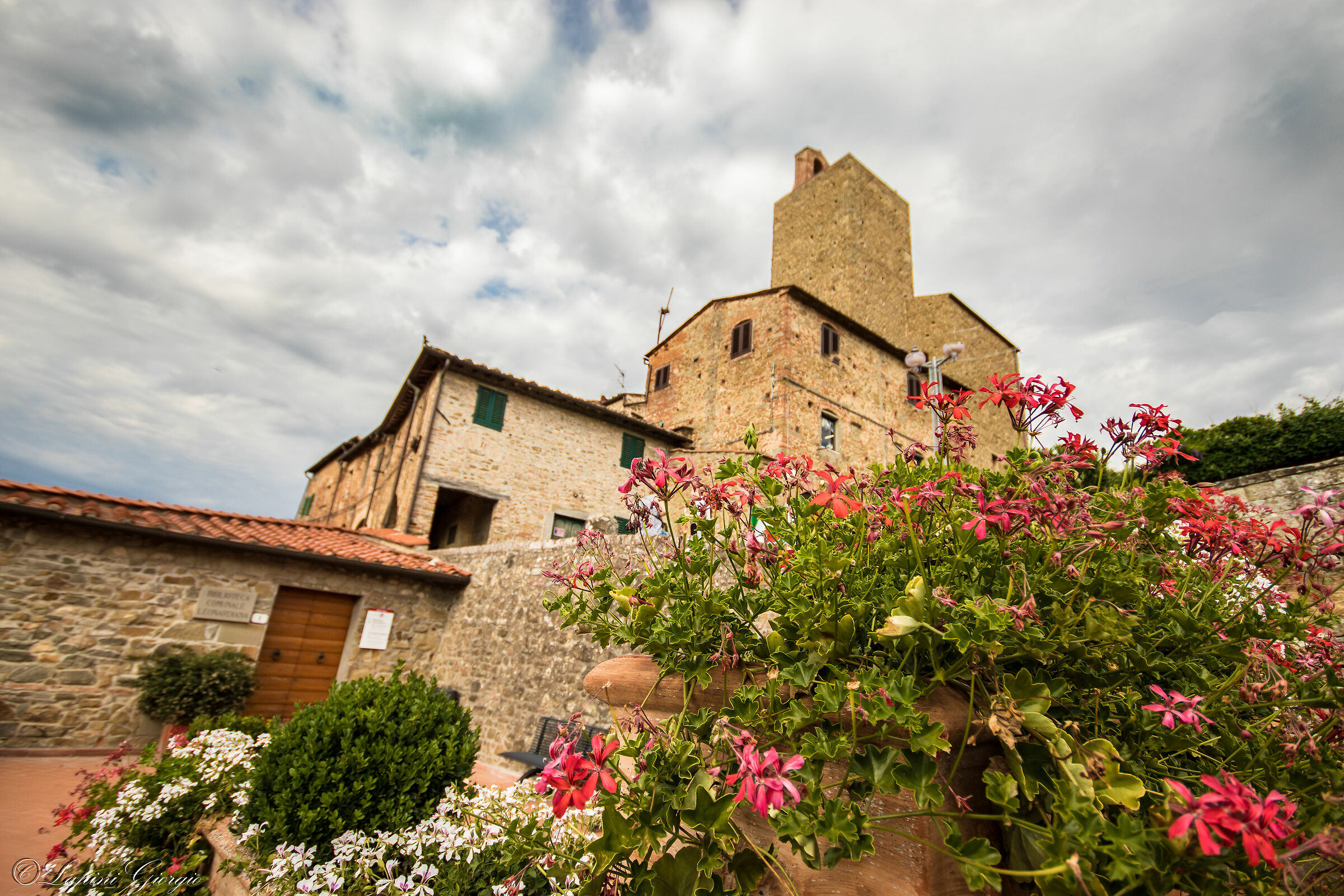 Win Leonardo's Country