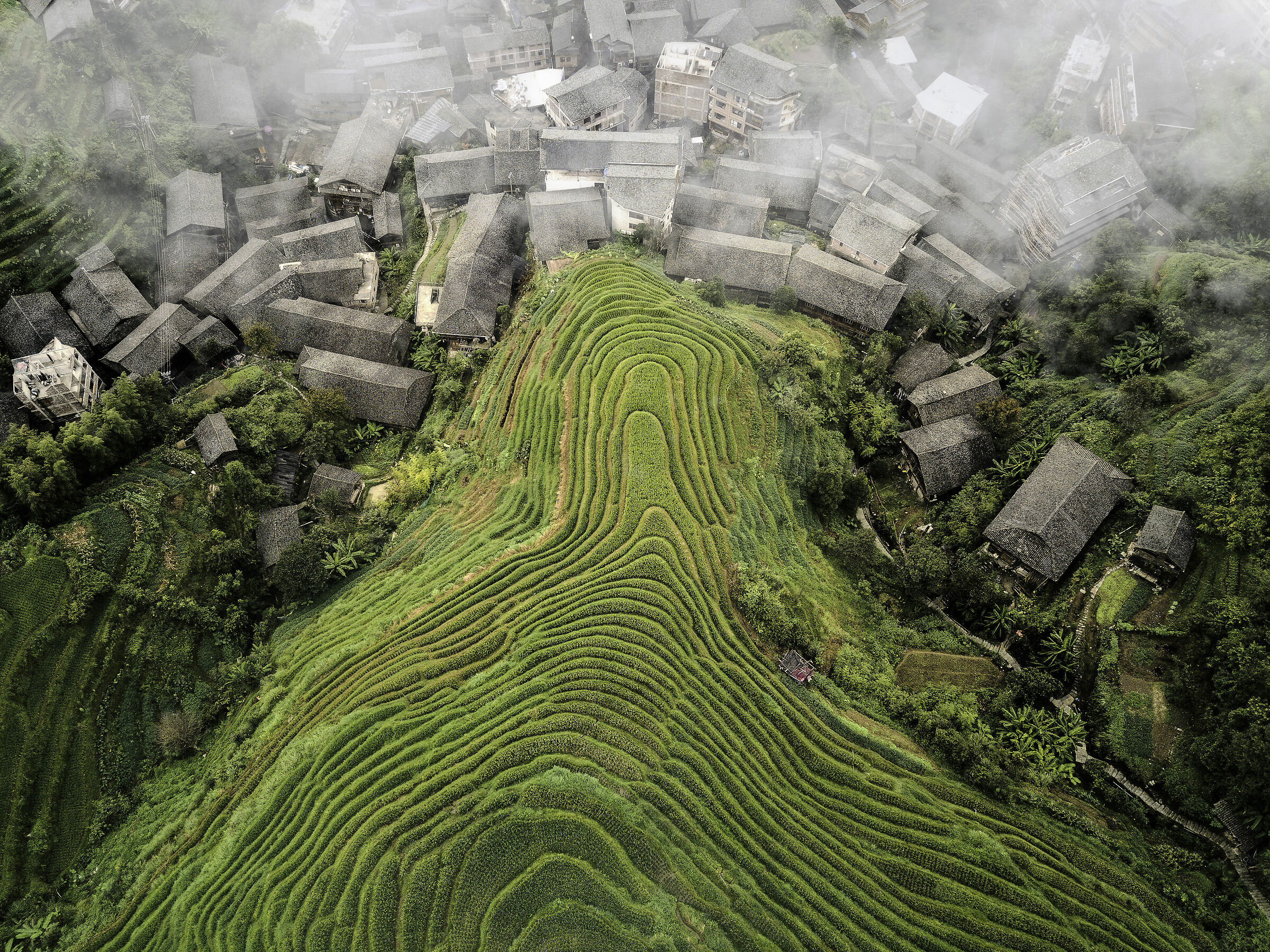 Longji amphitheater of houses