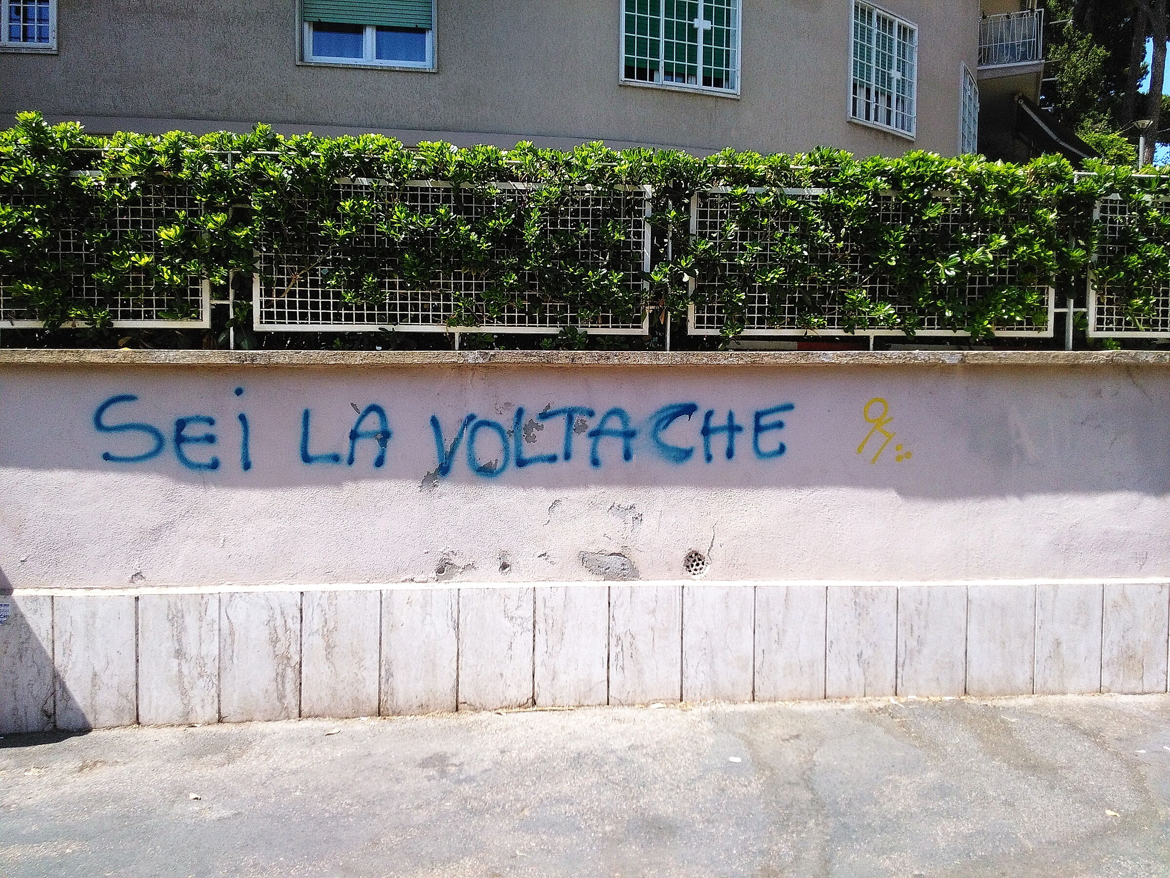 Ma forse non era la volta giusta