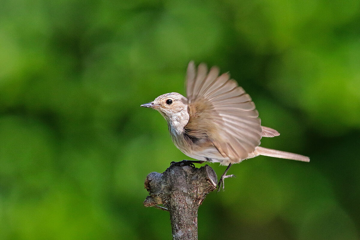 Missione compiuta...