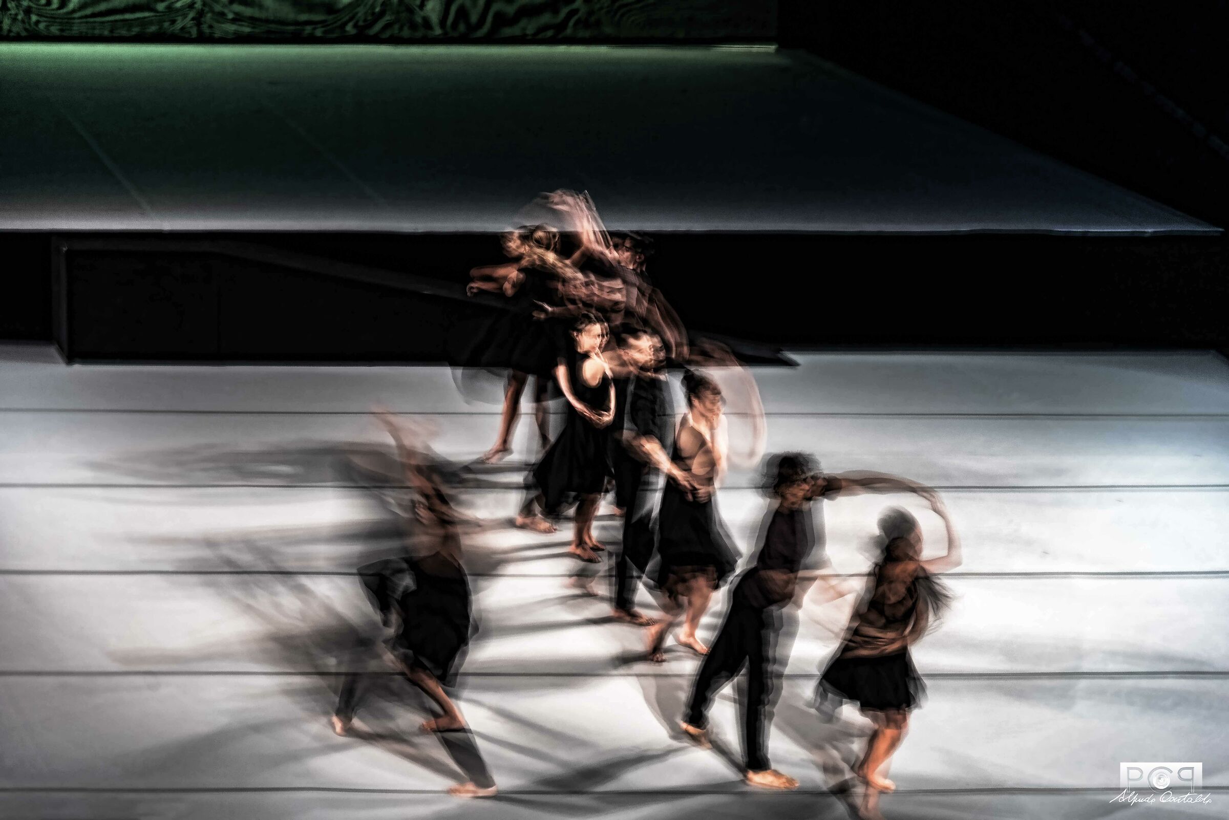 Vertigo Dance Company