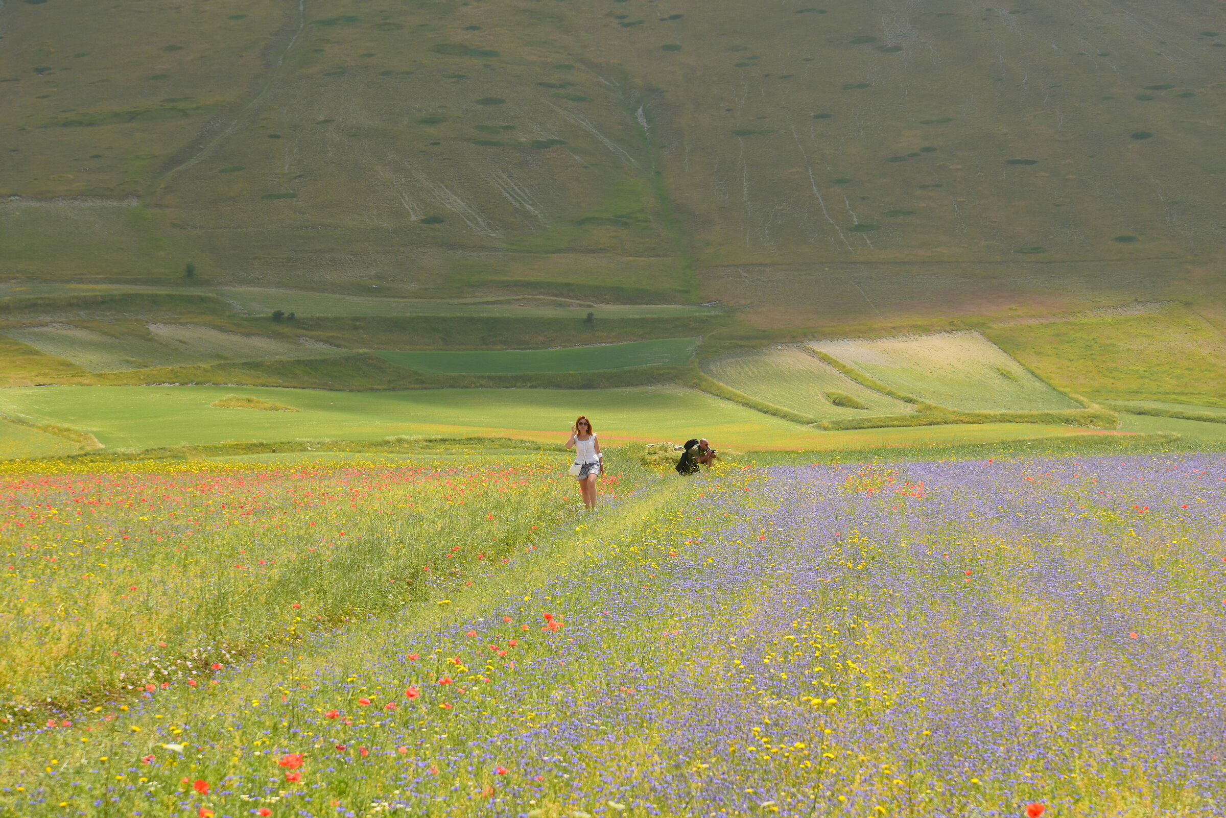 Camminare tra i colori