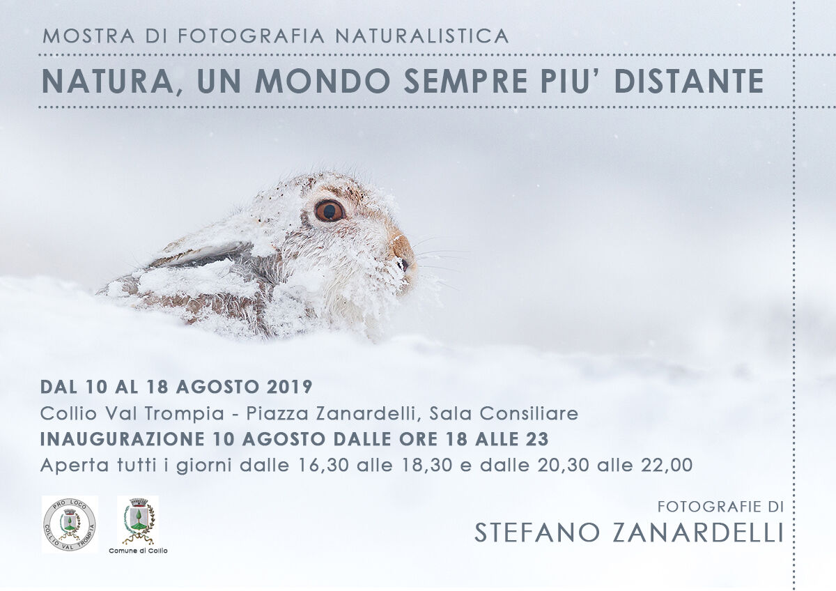 Exhibition of nature photography