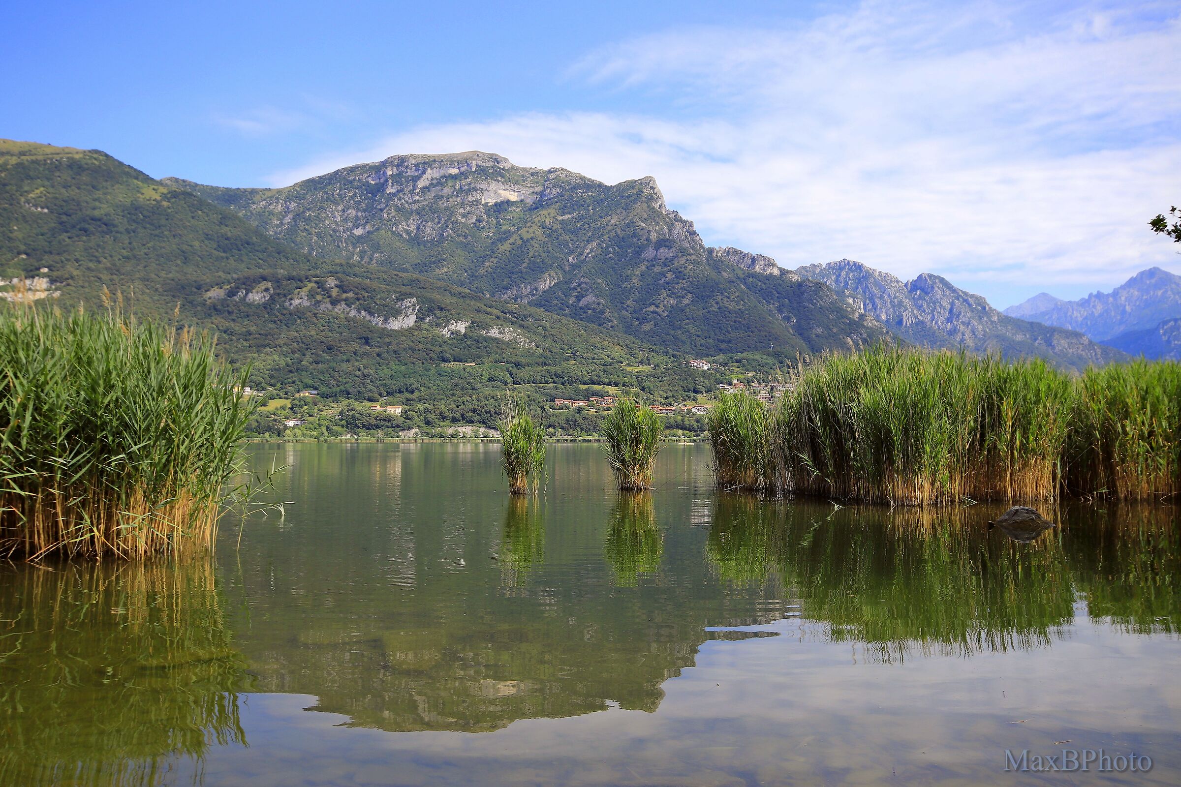 REFLECTIONS ON THE LAKE