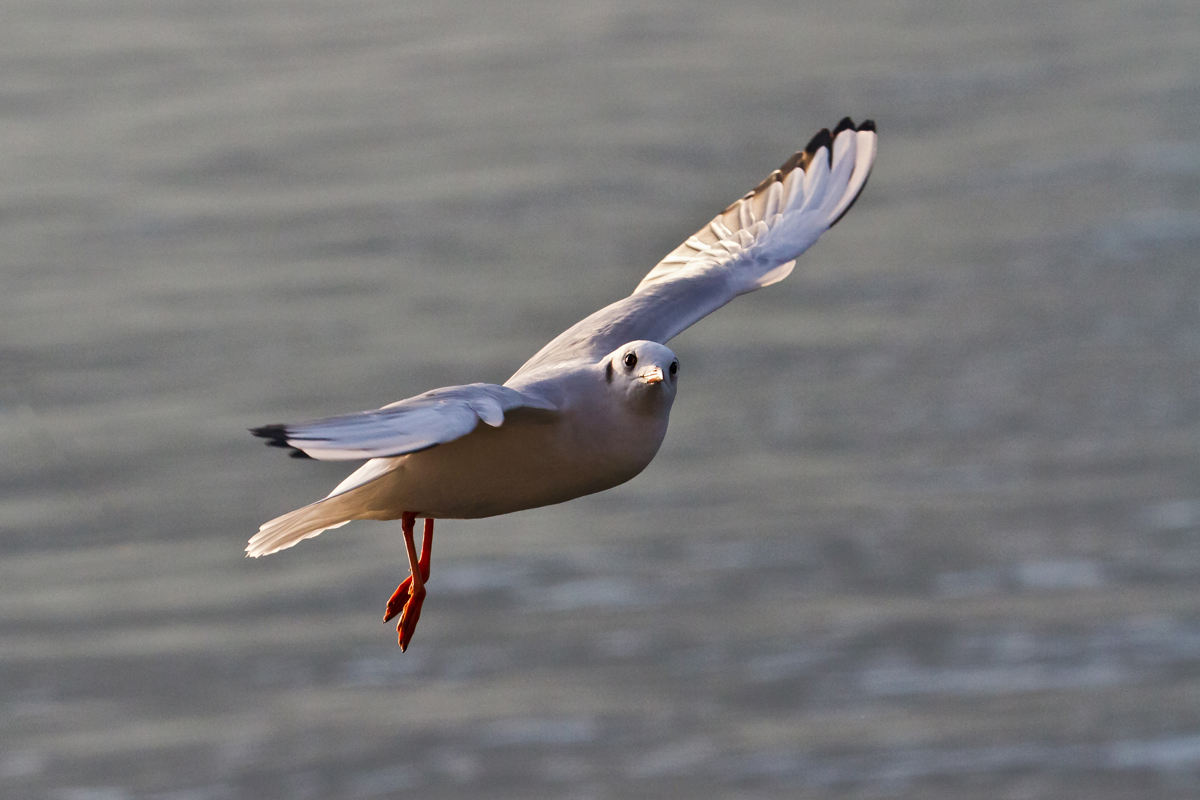 Guardami...!!!!  Click!!!!