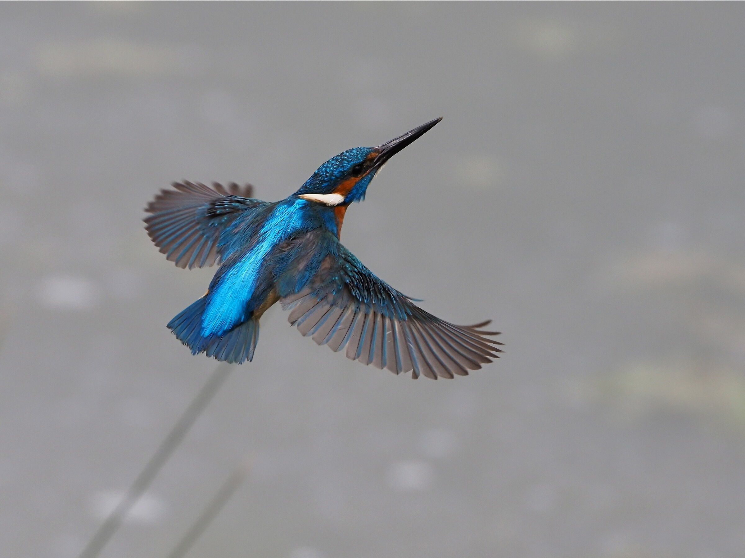 this time it went hole