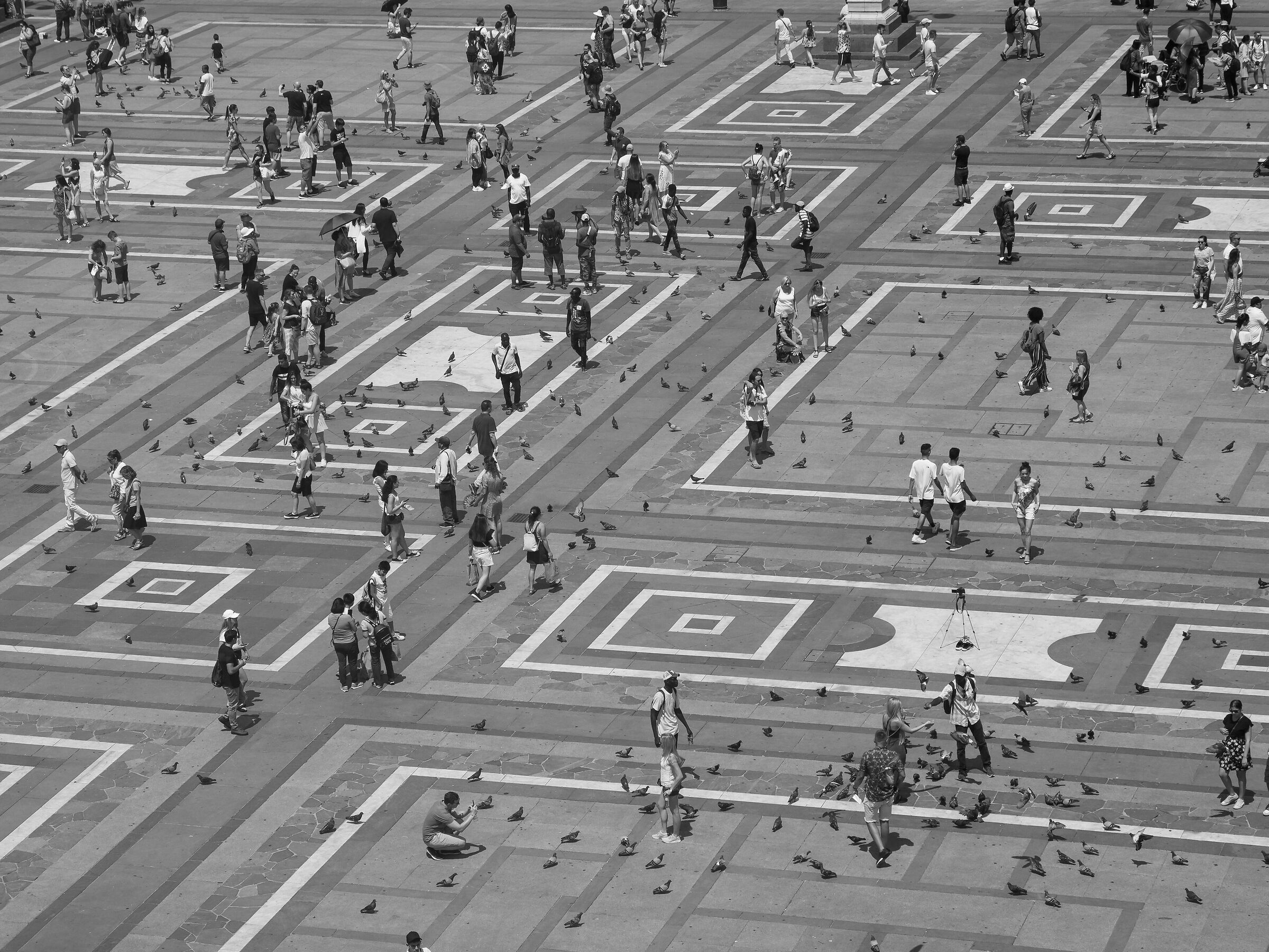 Cathedral Square - black and white