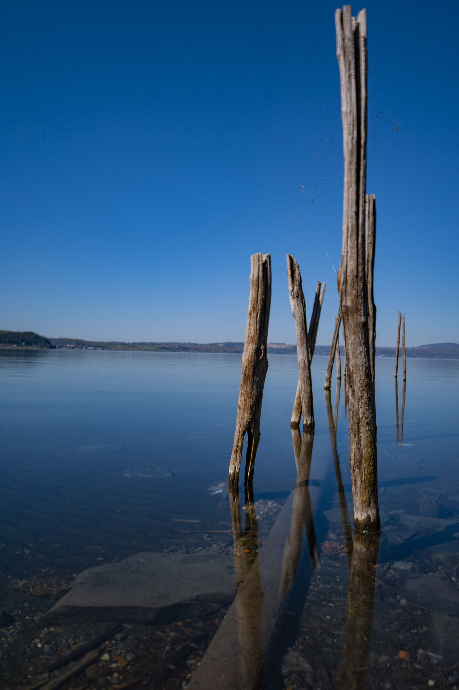trip on the lake of arm