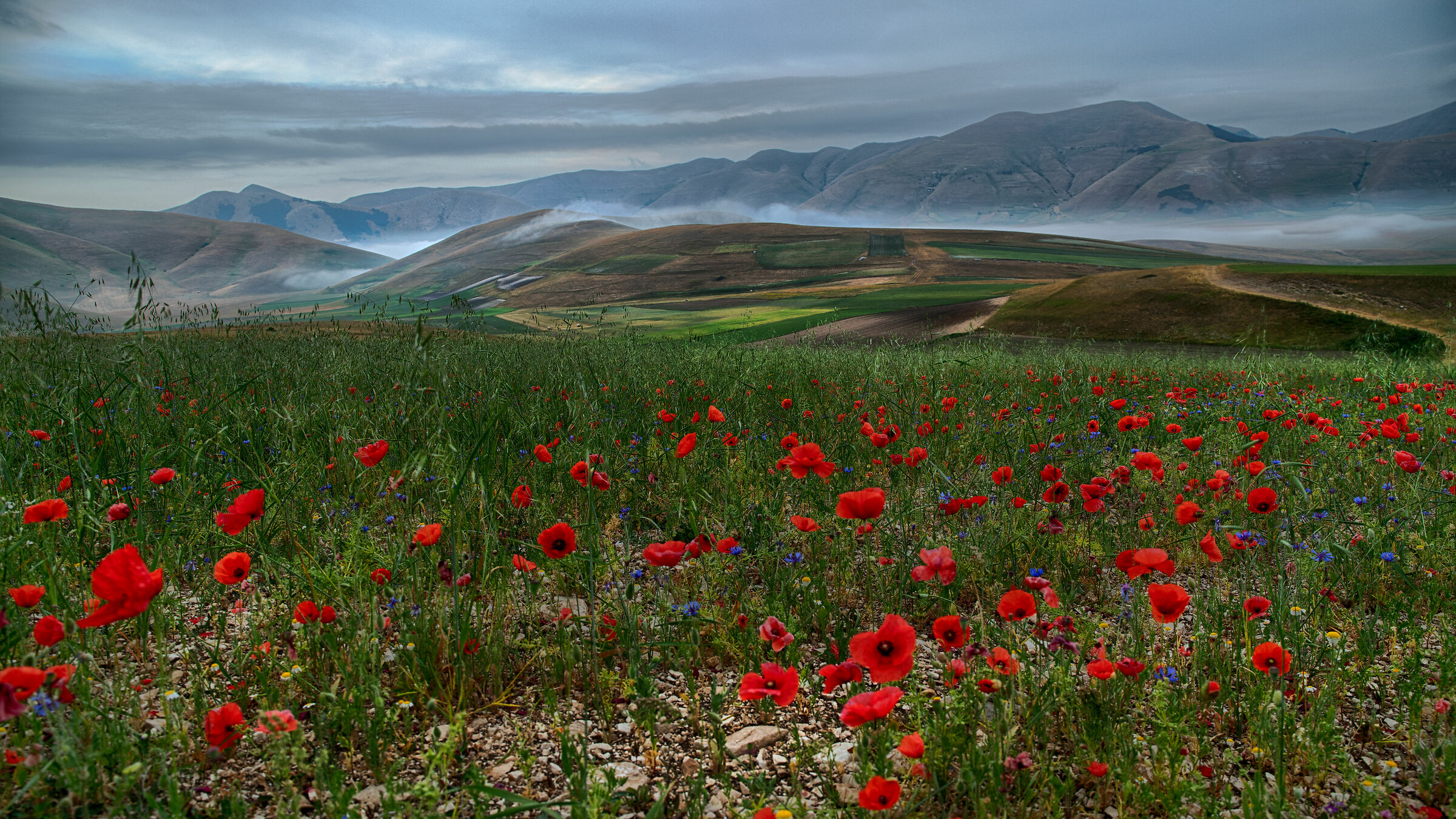 HDR su Castelluccio