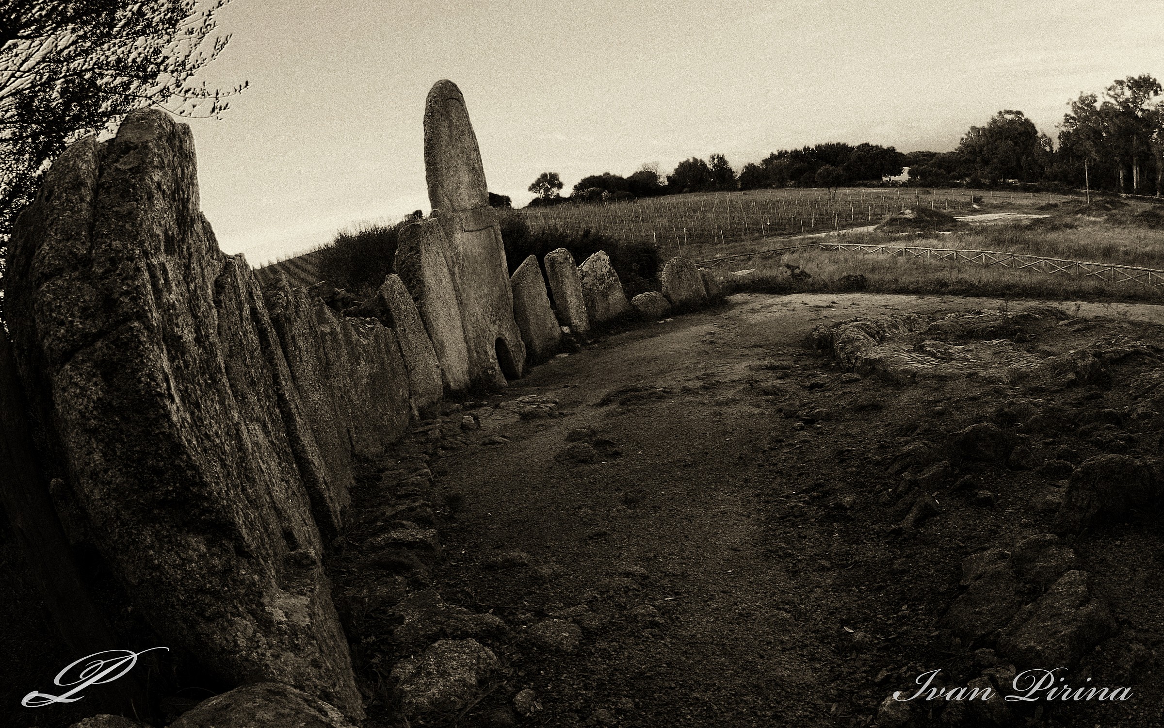 Tomba dei giganti (Coddhu 'ecchju)