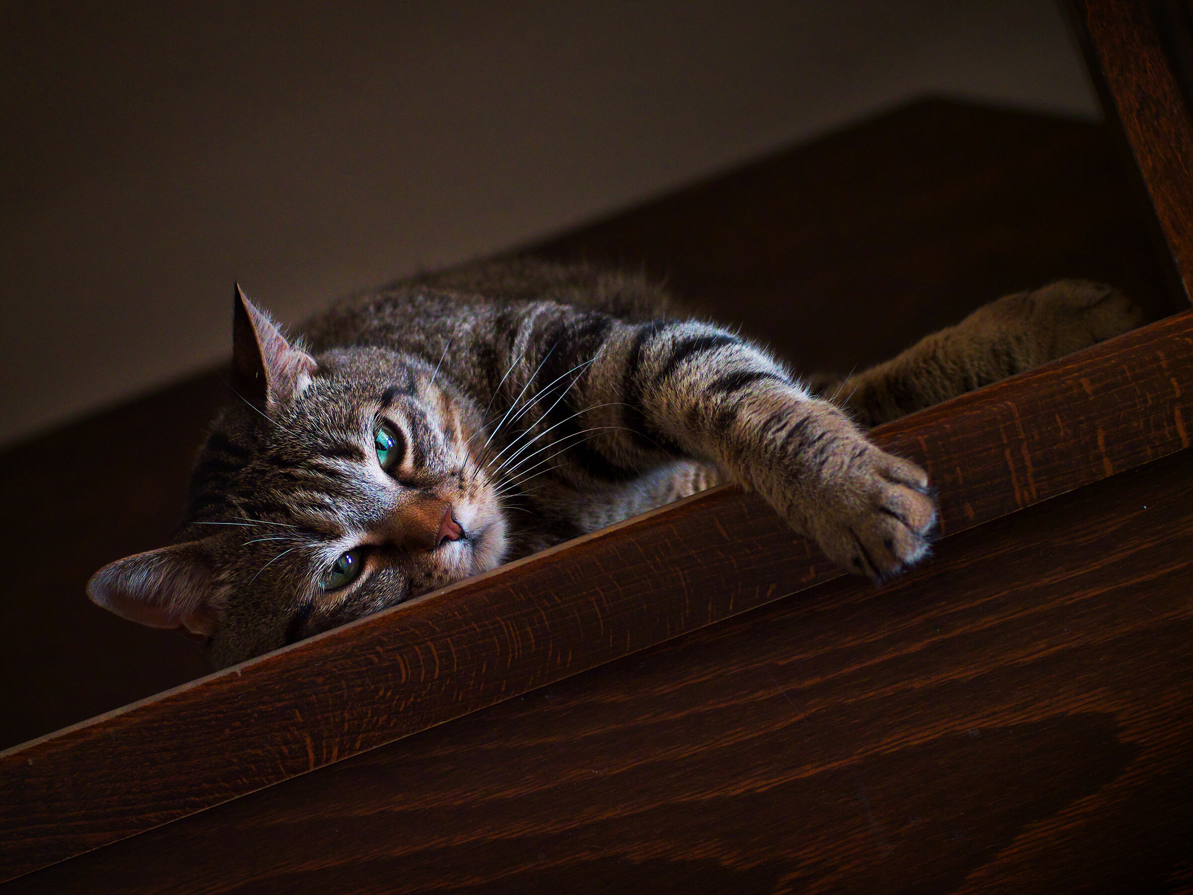 I'm not going to do that. the weight of life...