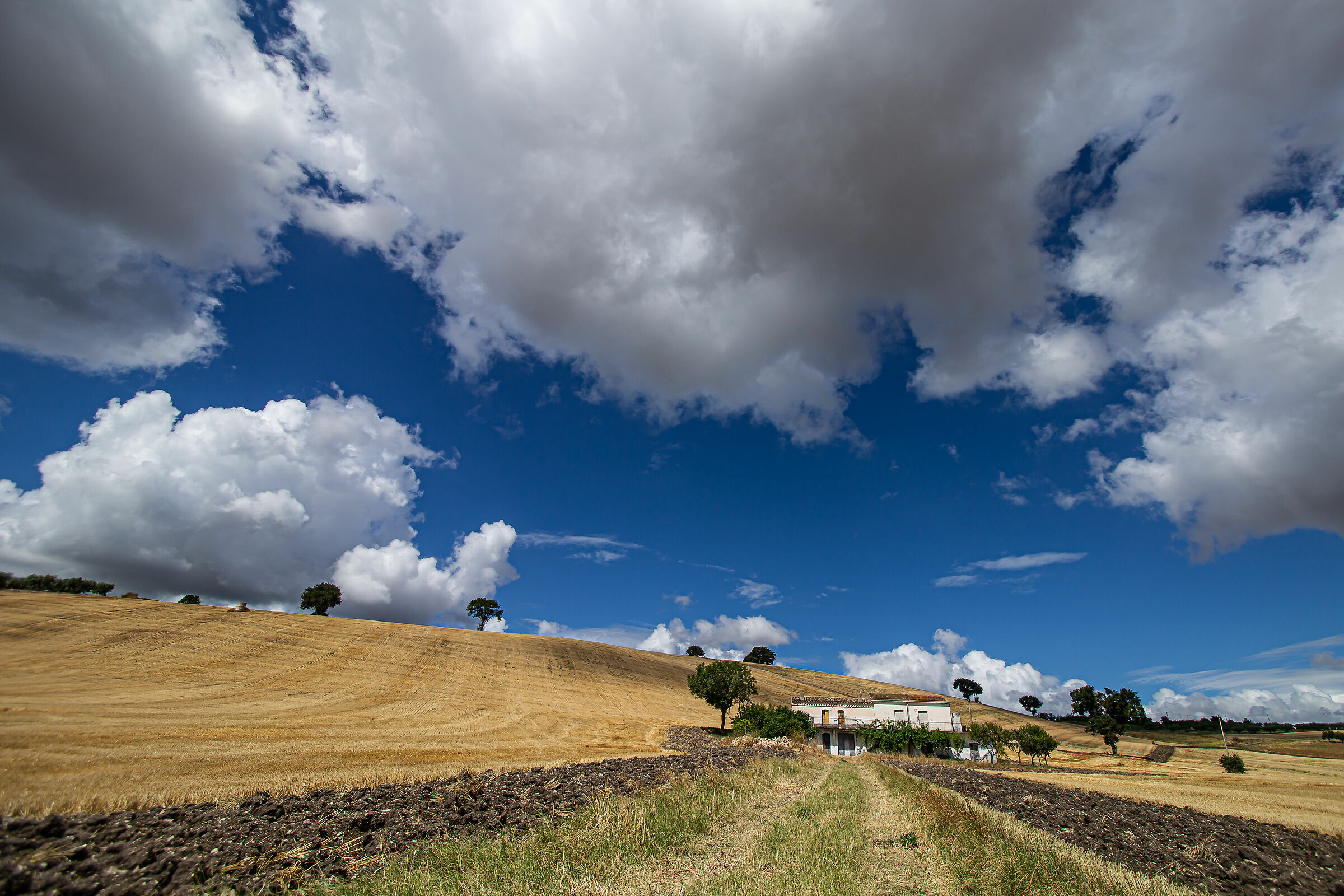 Stubble and clouds with masseria