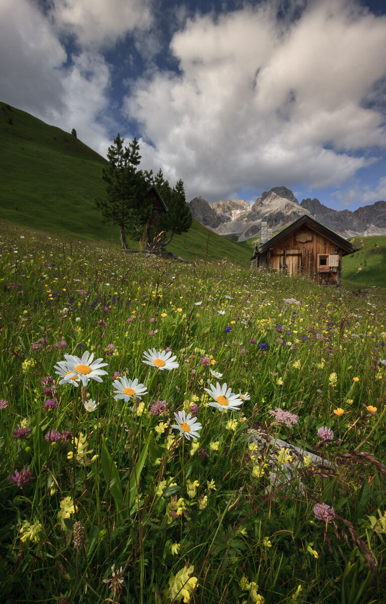 The flowers and clouds of San Pellegrino ...