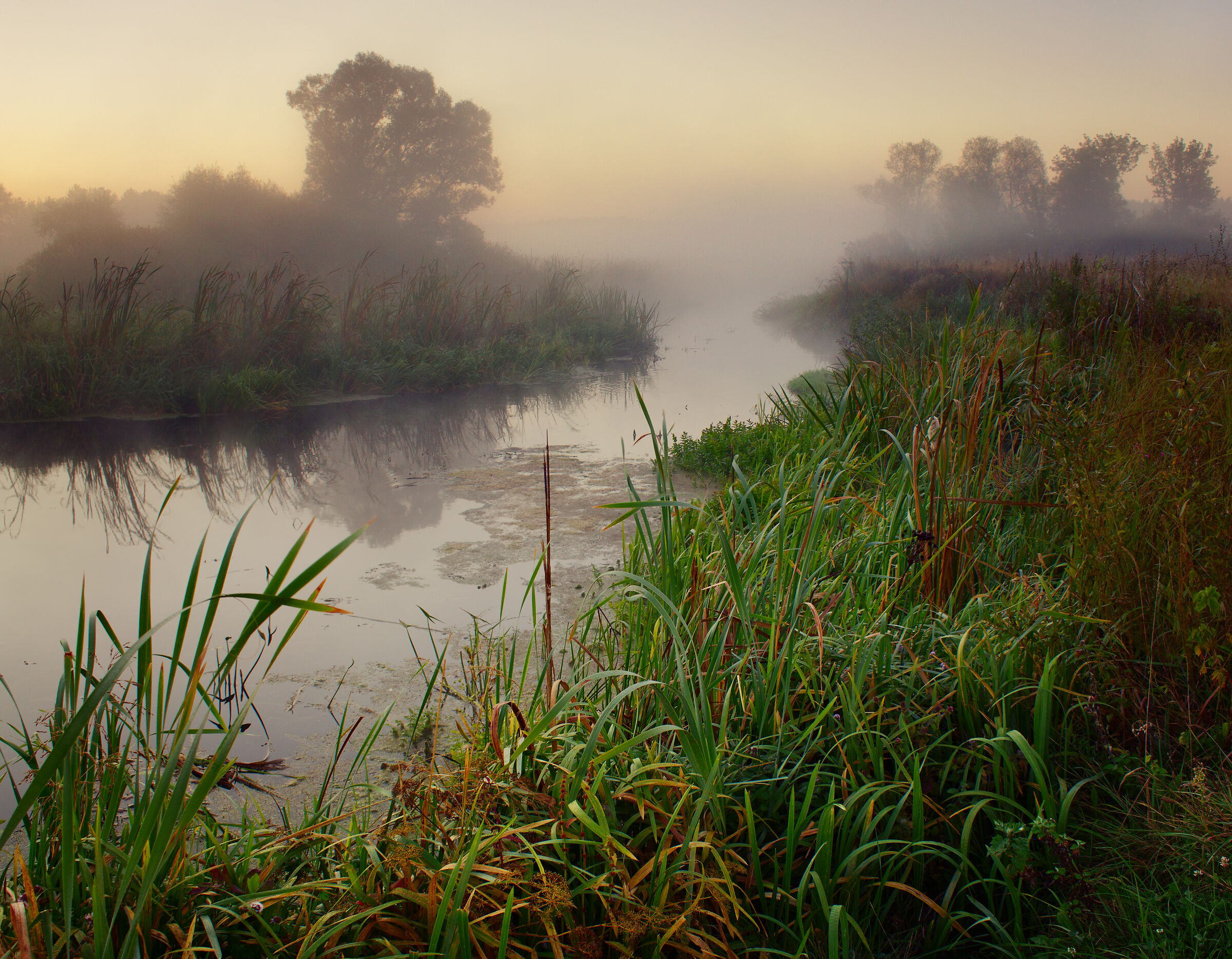 Foggy morning
