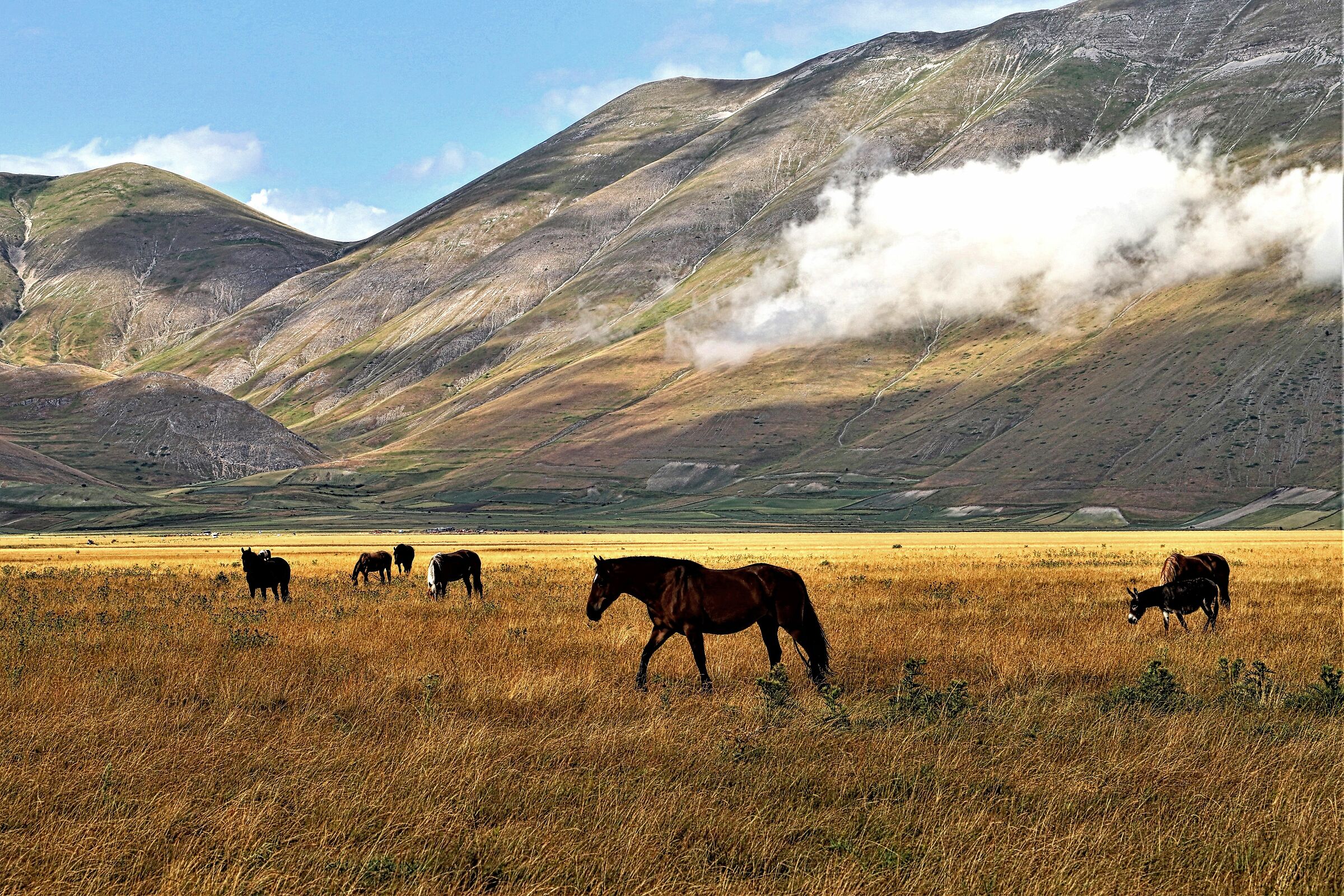 Castelluccio senza fiori !