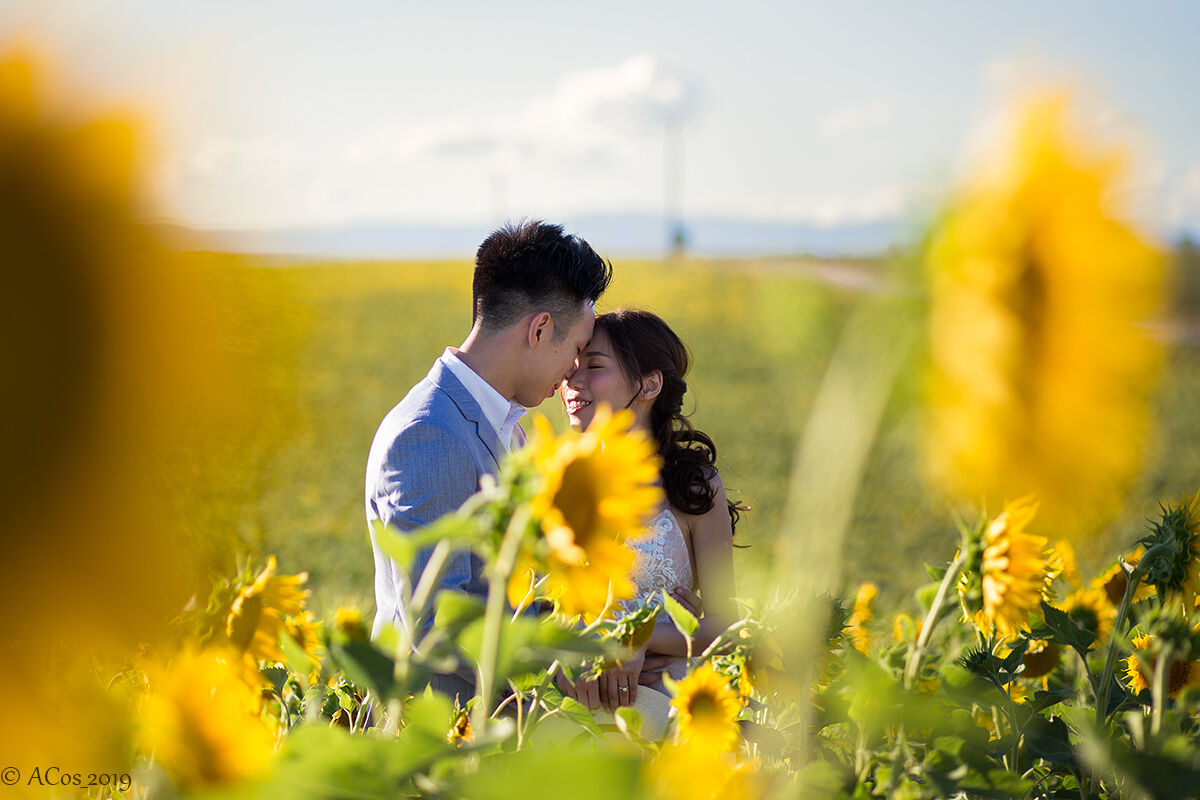 Wedding in Valensole