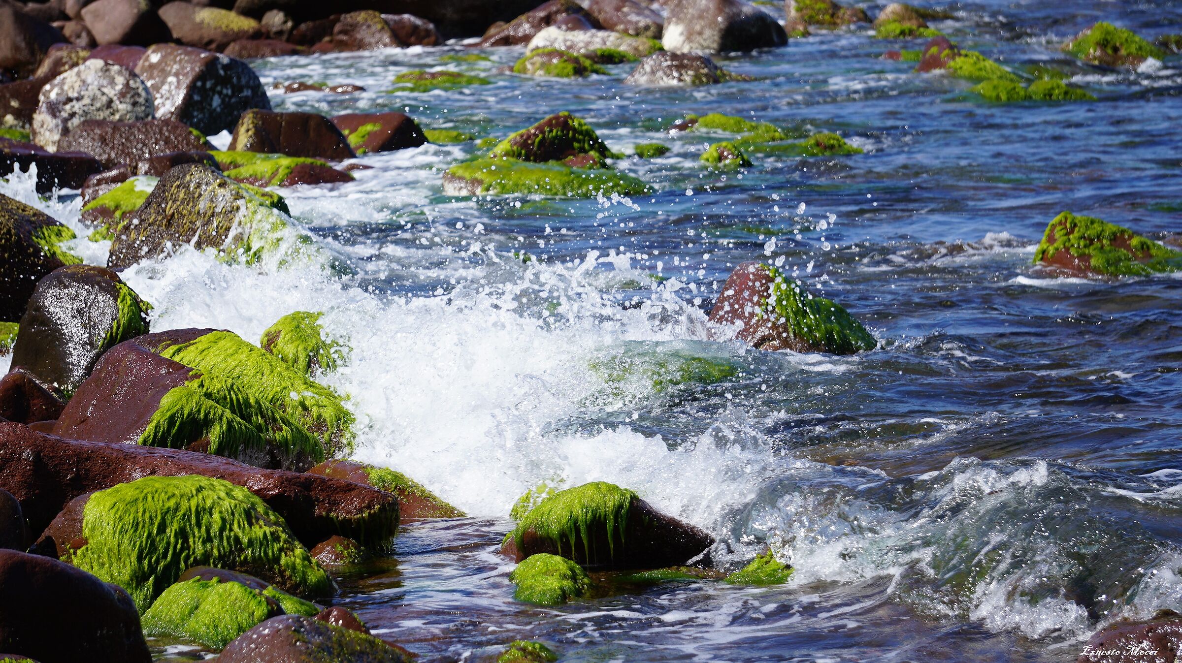 Green and Water Splashes