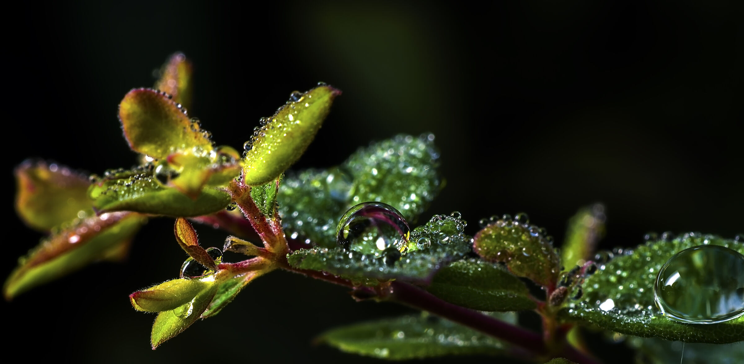 The stillness of dawn