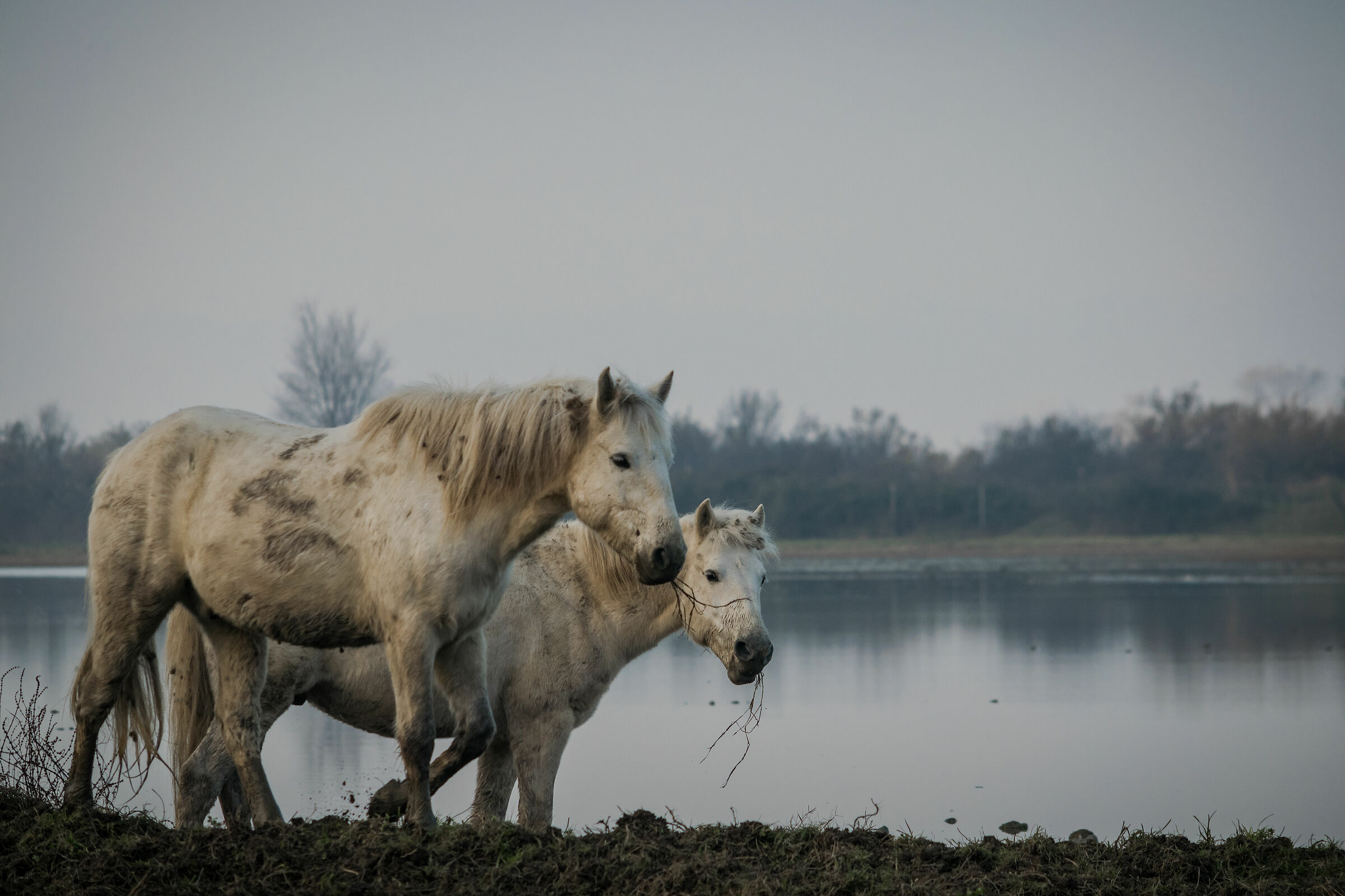Camargue winter clothes