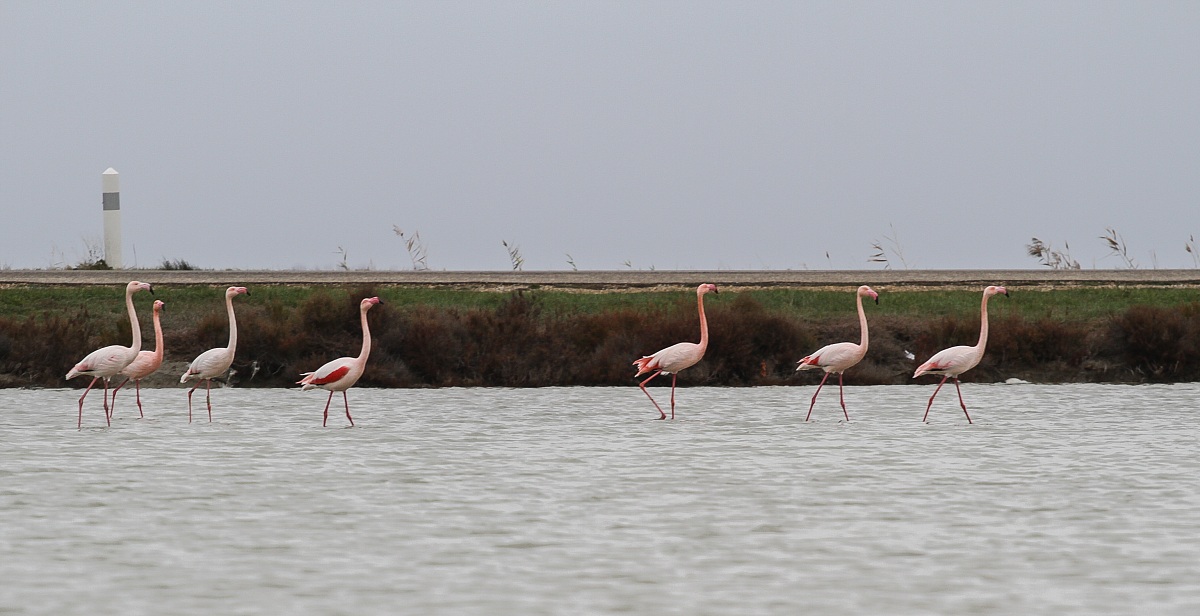 Phew! but it lacks the exit?