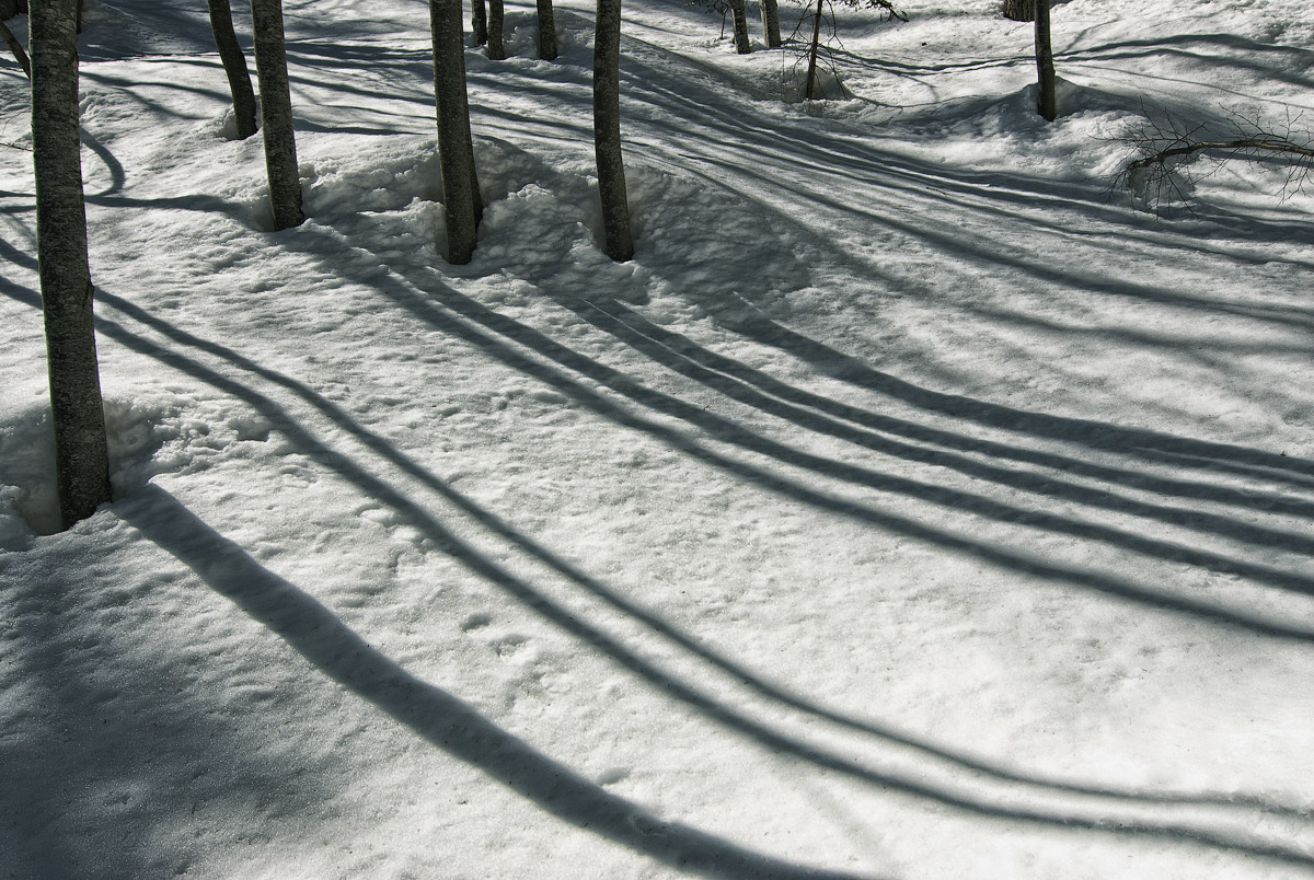 Raccolana Valley - Julian Alps.