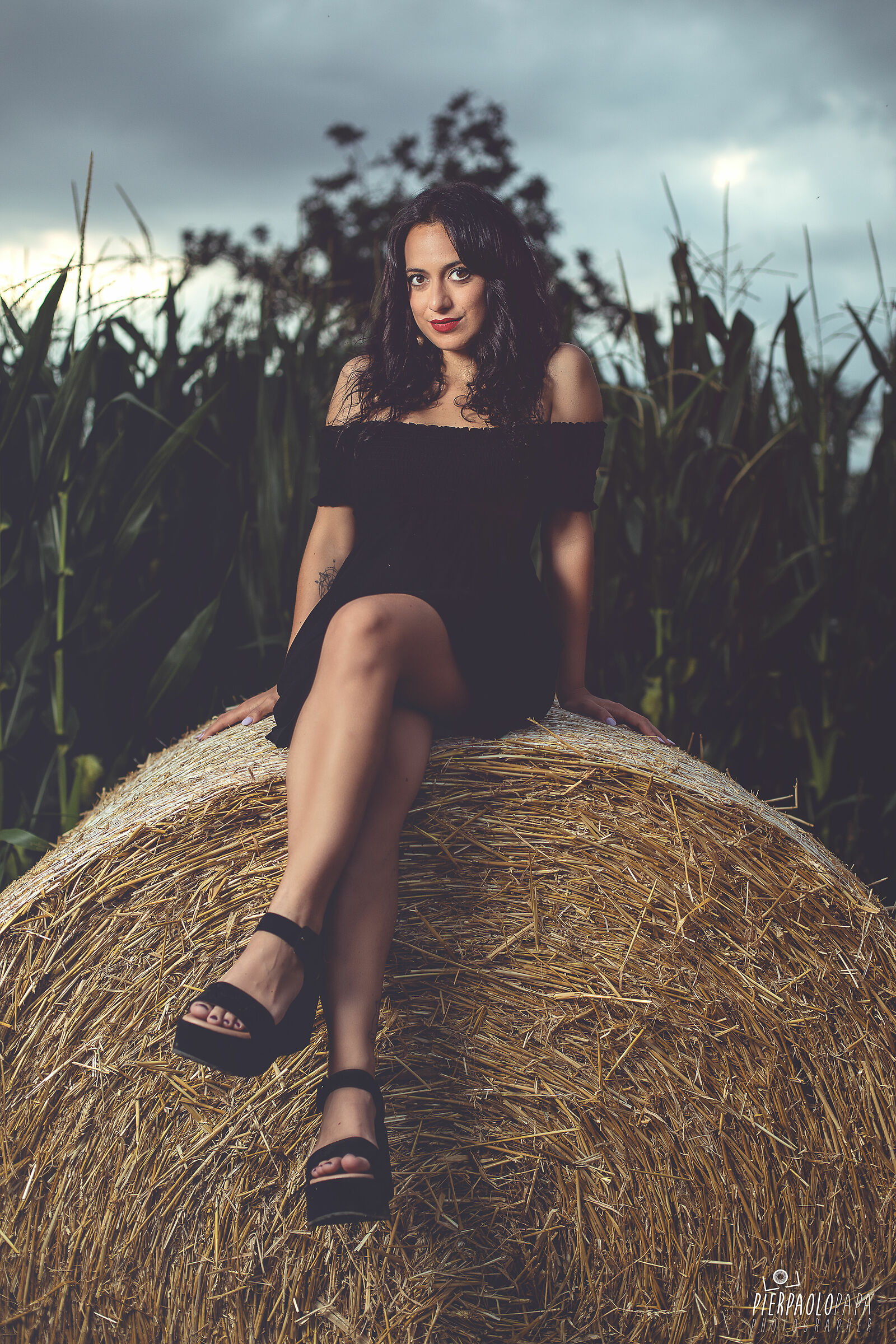 Comfortable hay bales...