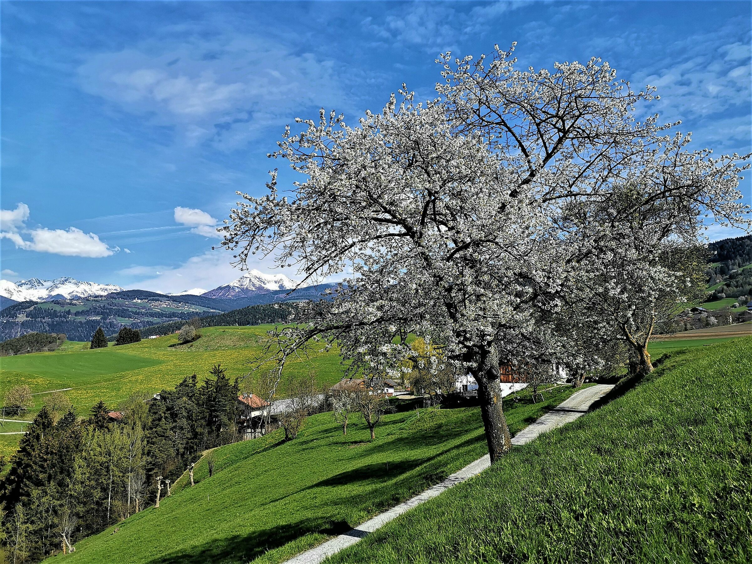 Alto Adige da chiodo.... 5