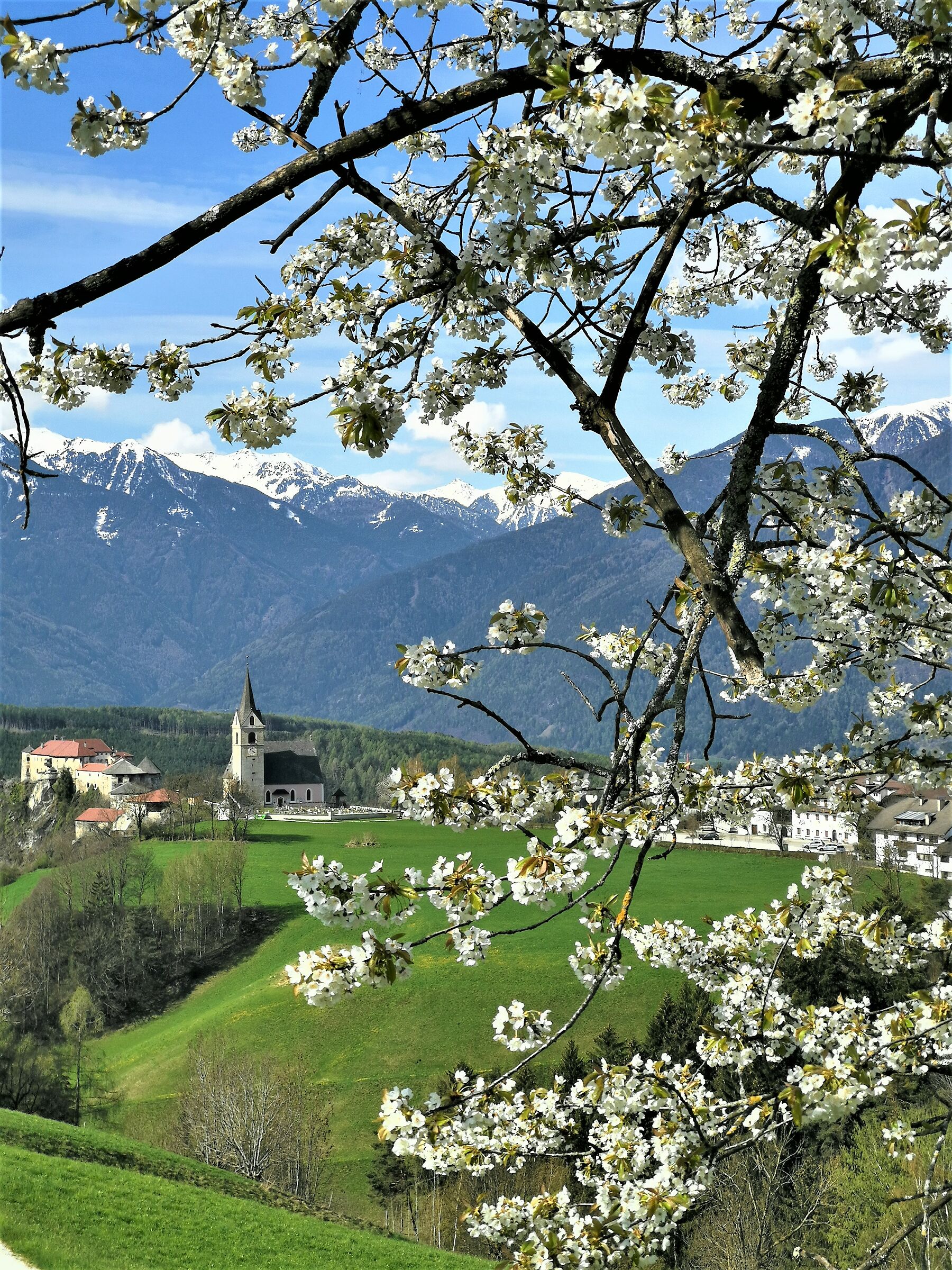 Alto Adige da chiodo....6