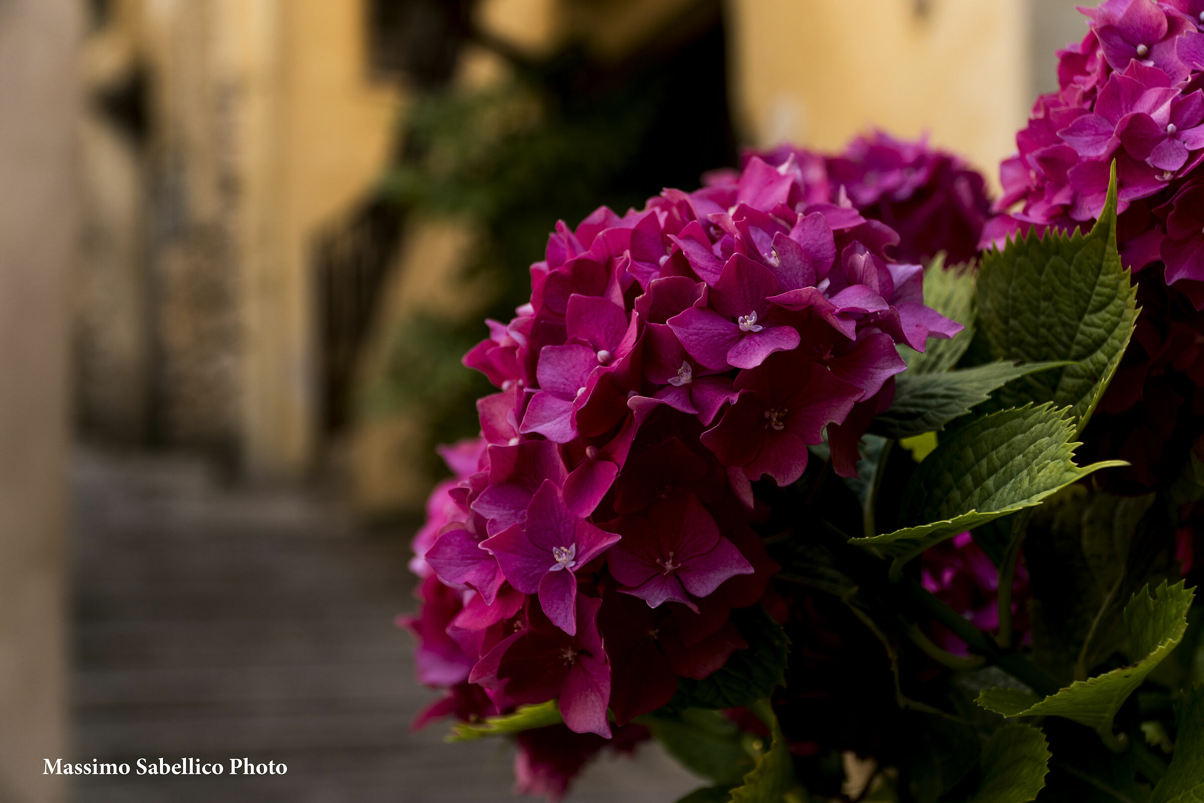 Fiuggi Centro Storico