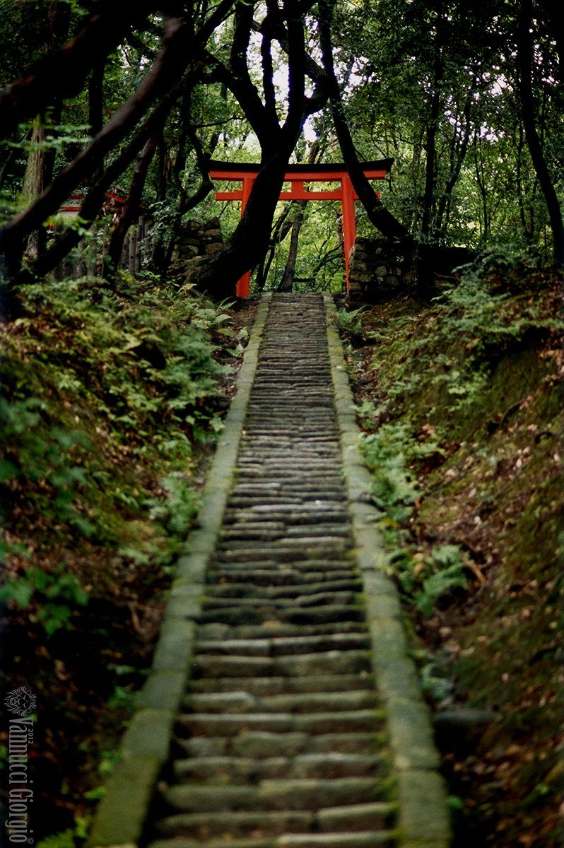 Torii - Door Temple