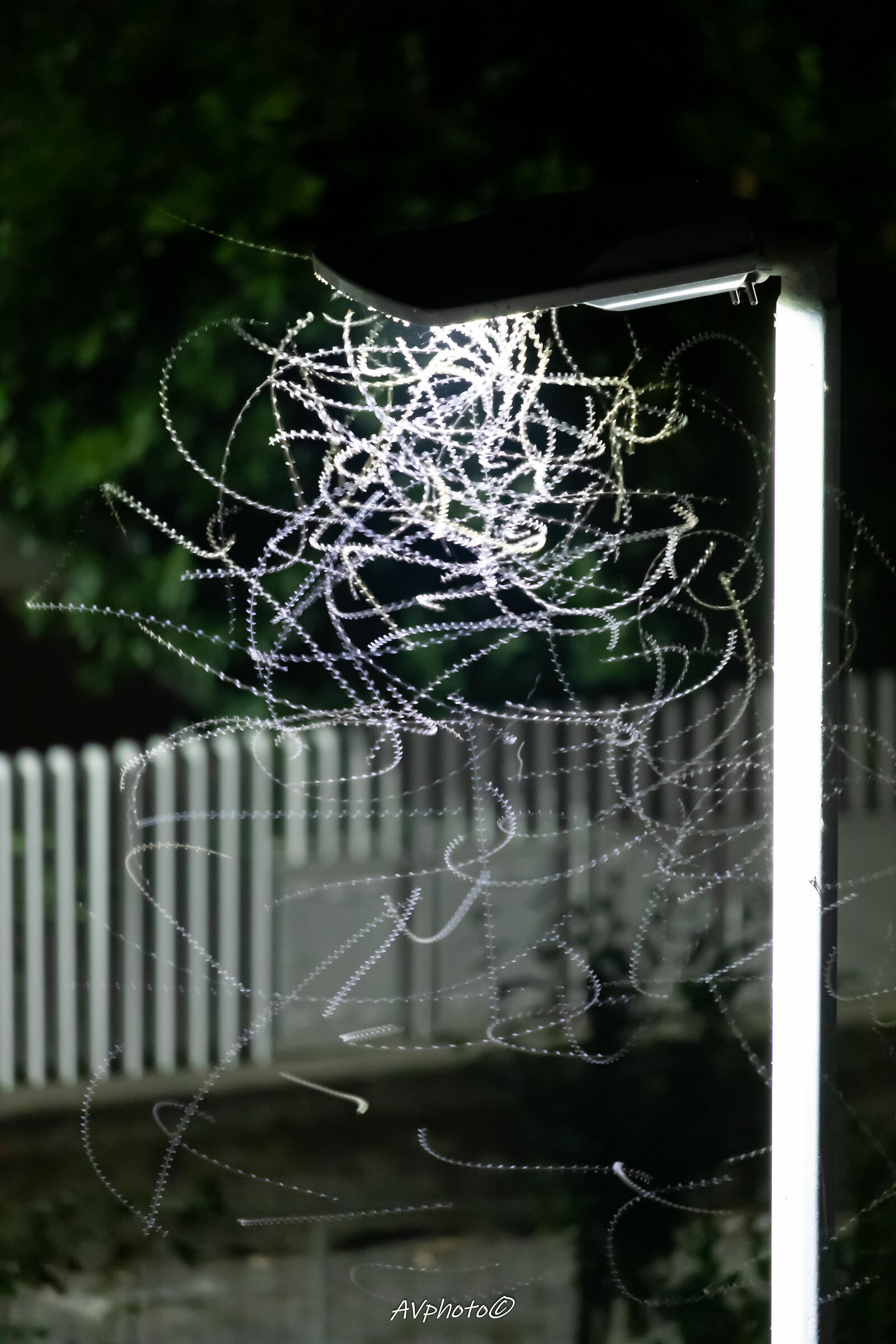 Trambusto sotto il lampione