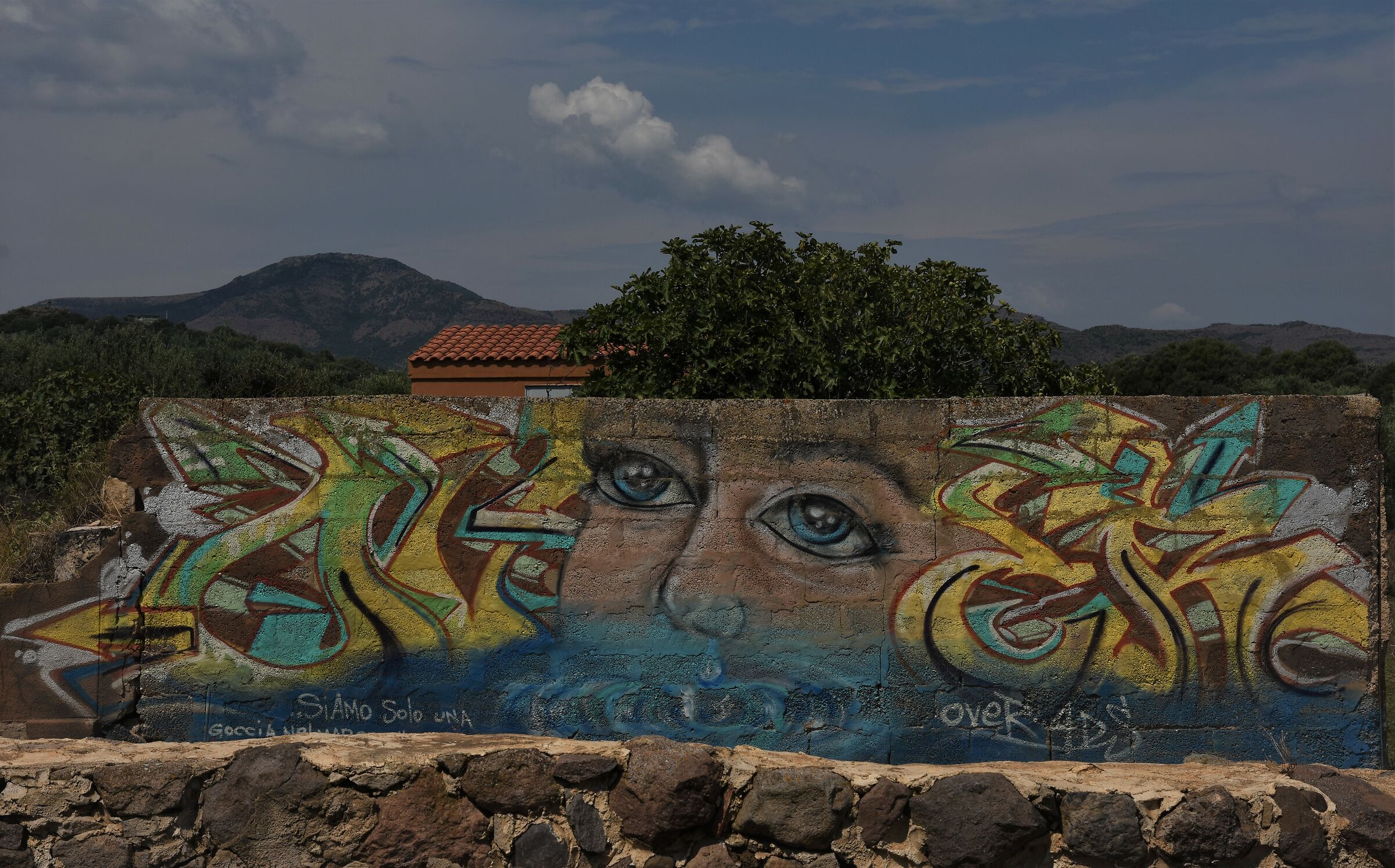 Quando a un volto manca la chioma....  io la cerco!!