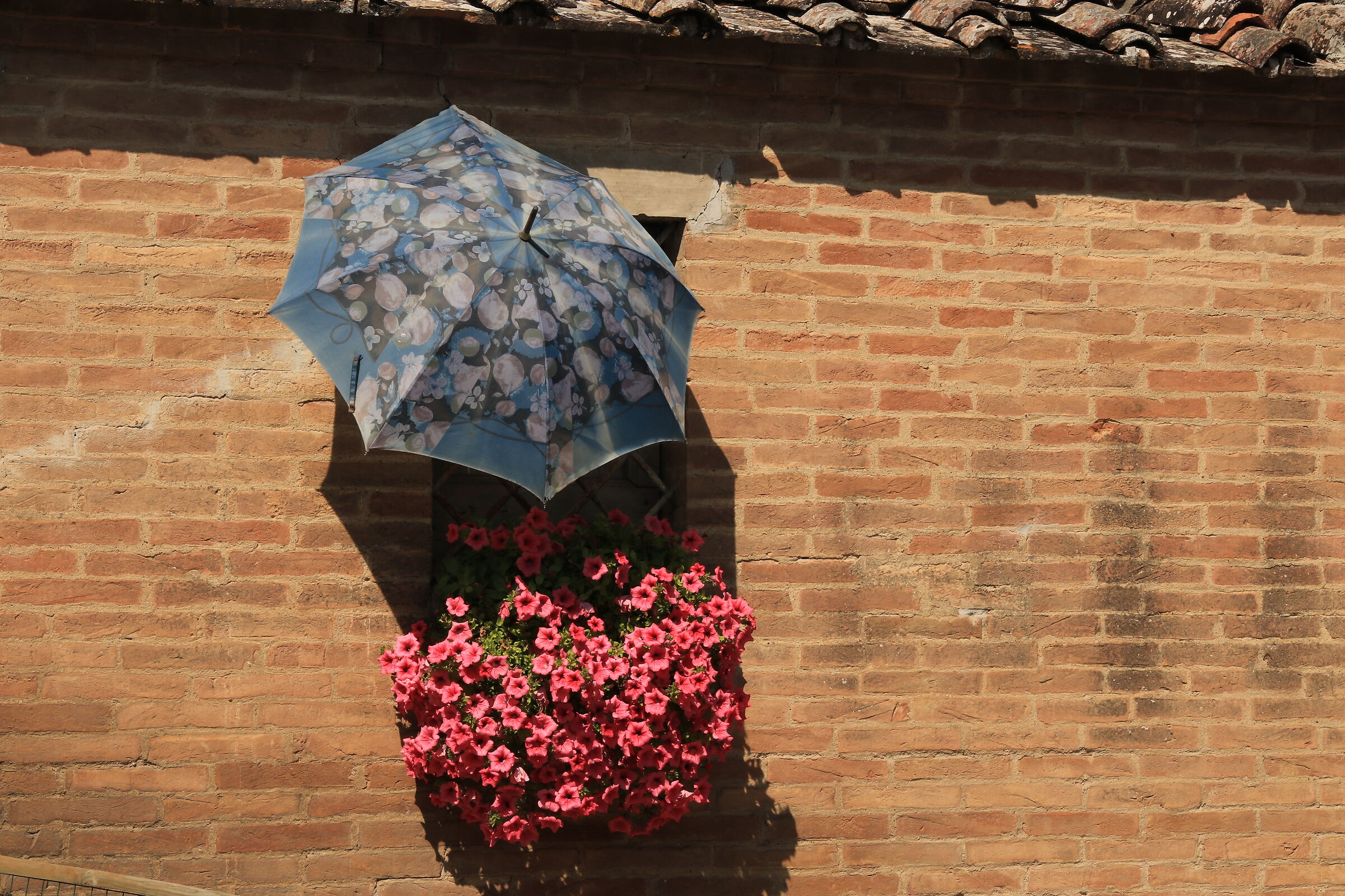 Li annaffio solo io....