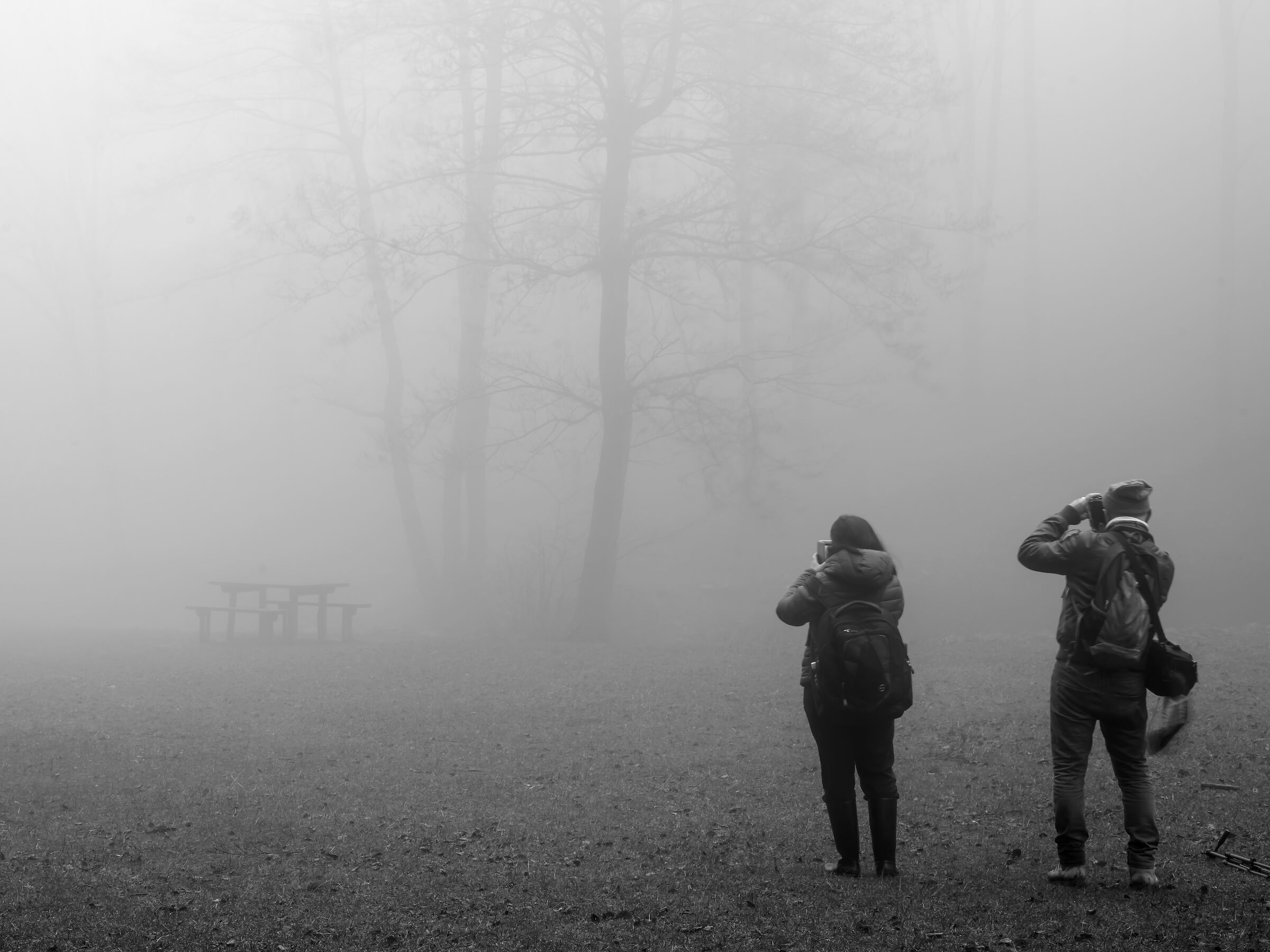 Shooting in the fog